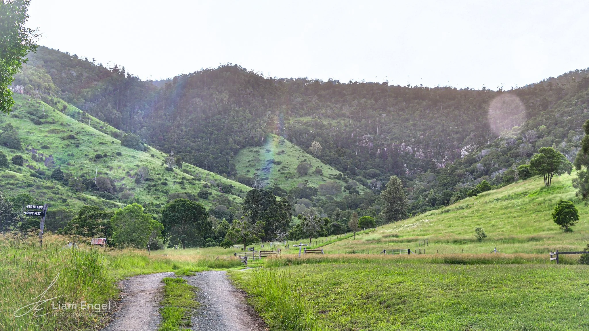 A dirt road leading into a lush green valley surrounded by hills and trees, with a sign pointing to 'Big Pig Camp' and 'Shady Rest' on the left side.