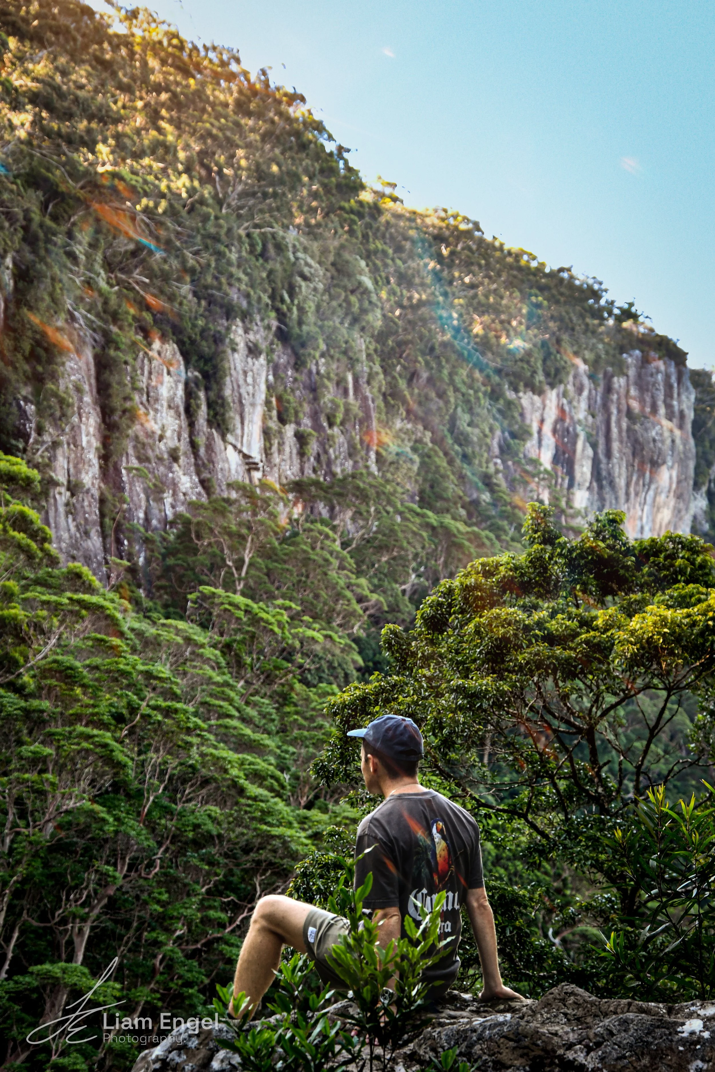 A man with a dark baseball cap, dark t-shirt with a colorful parrot graphic, and khaki shorts sitting on a rock and looking at a lush green mountain covered with dense trees and rocky cliffs under a clear sky.