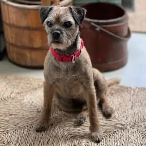 Dylan 11.06.2024.jpg