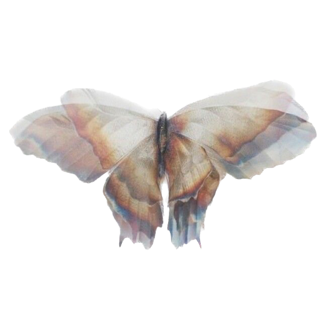 What to Expect: The Phases of Healing in Five Element Acupuncture