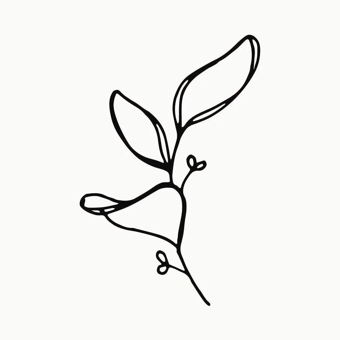 Simple line drawing of a plant with leaves
