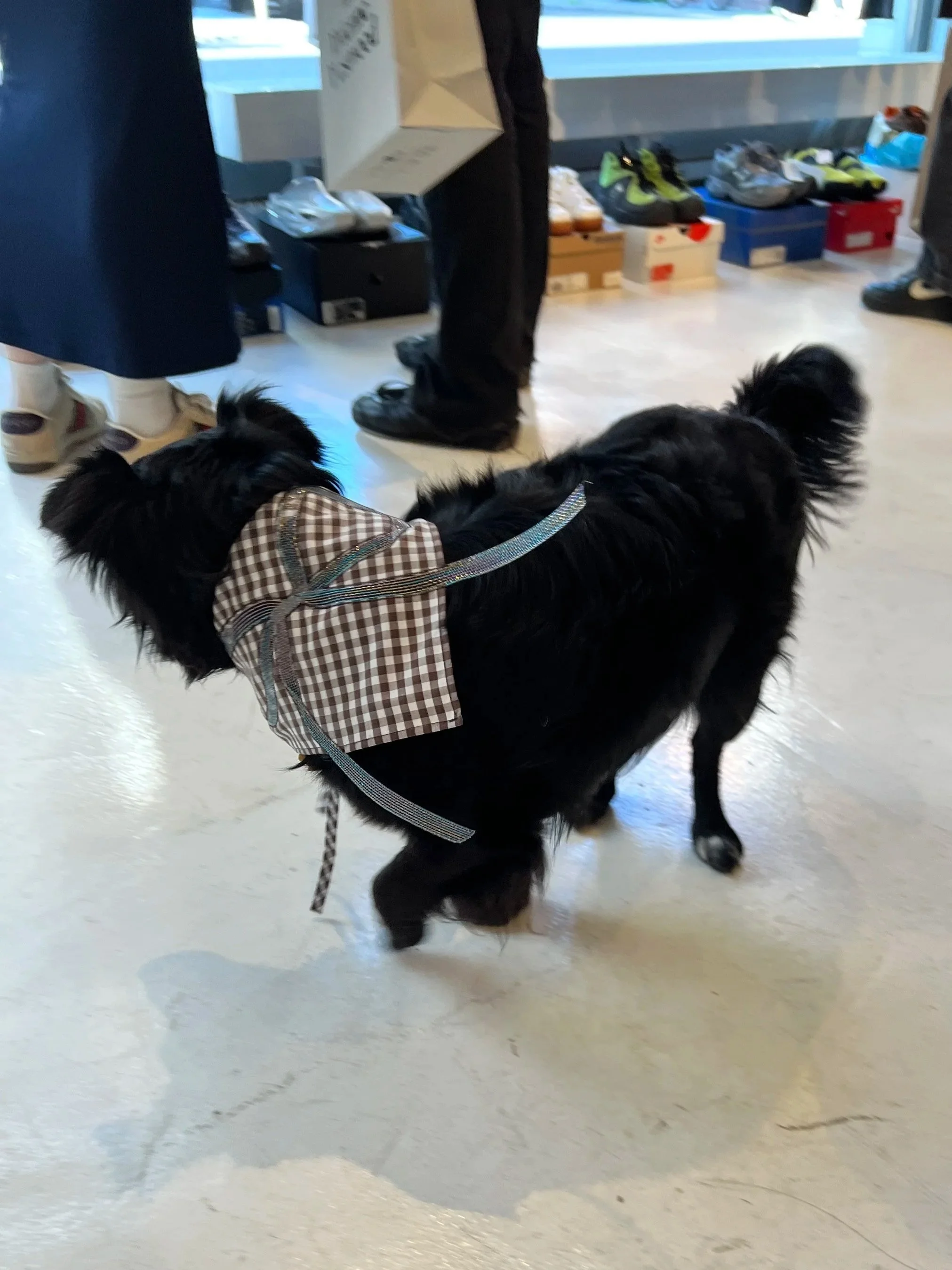 Pop-up at Salbazaar with Hulfe