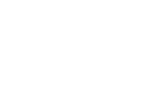 The image is blank with a white background and no visible objects.