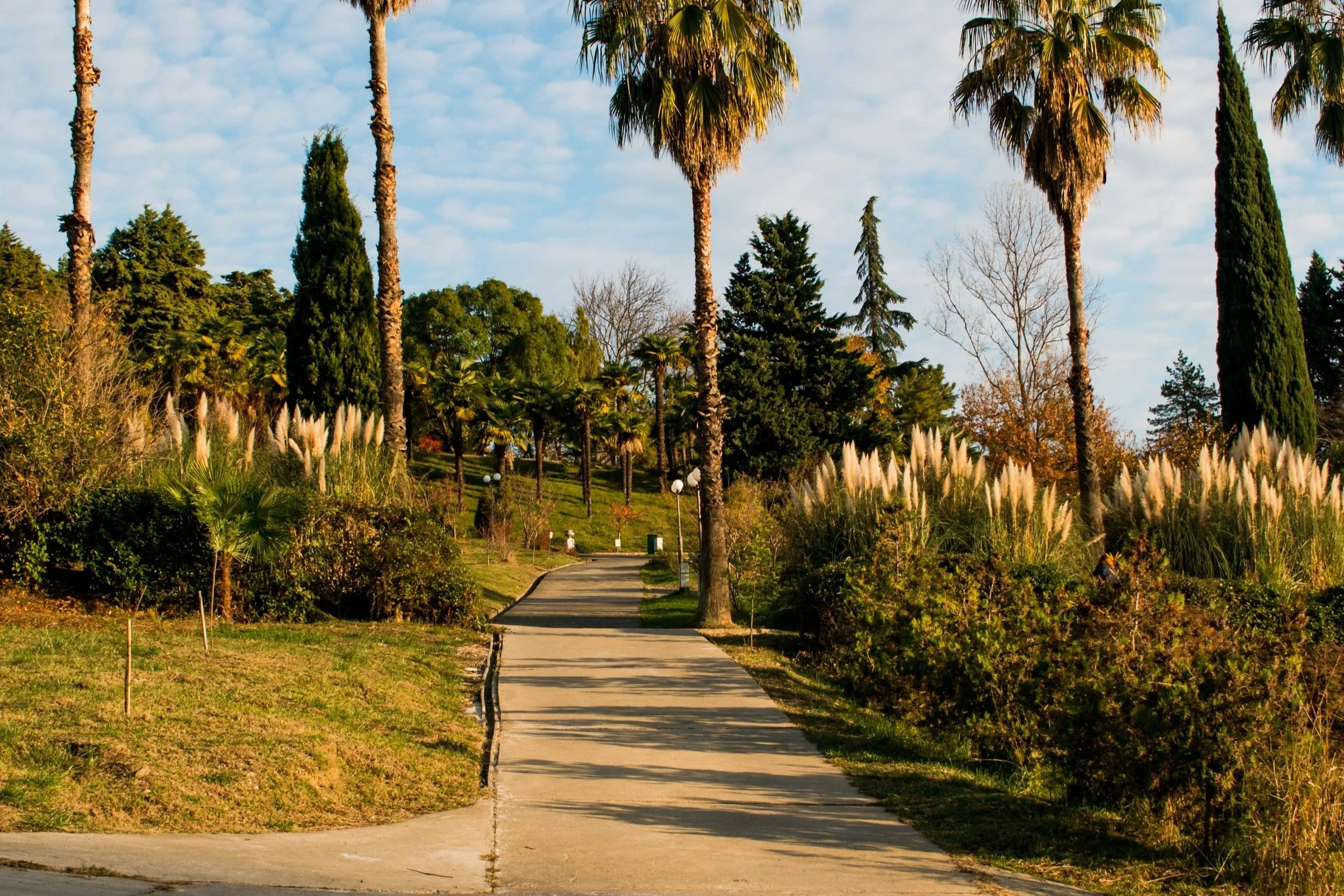 Walk It Off: How Walk Therapy Works