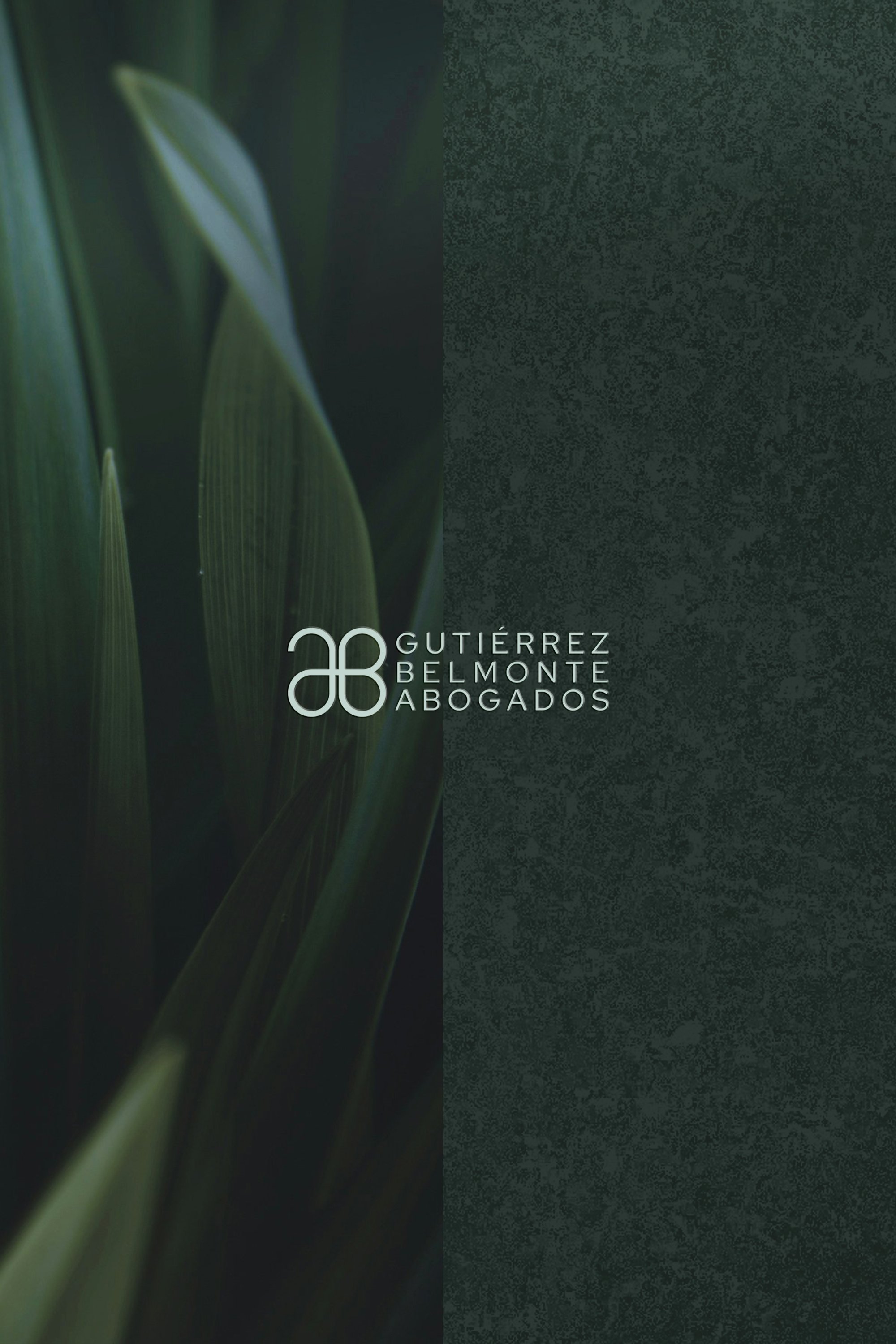 logo gutierrez belmonte.jpg
