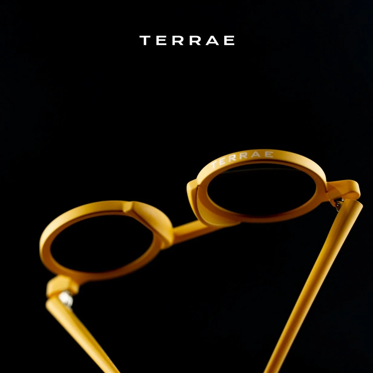 _DSC3419 terrae-01.jpg