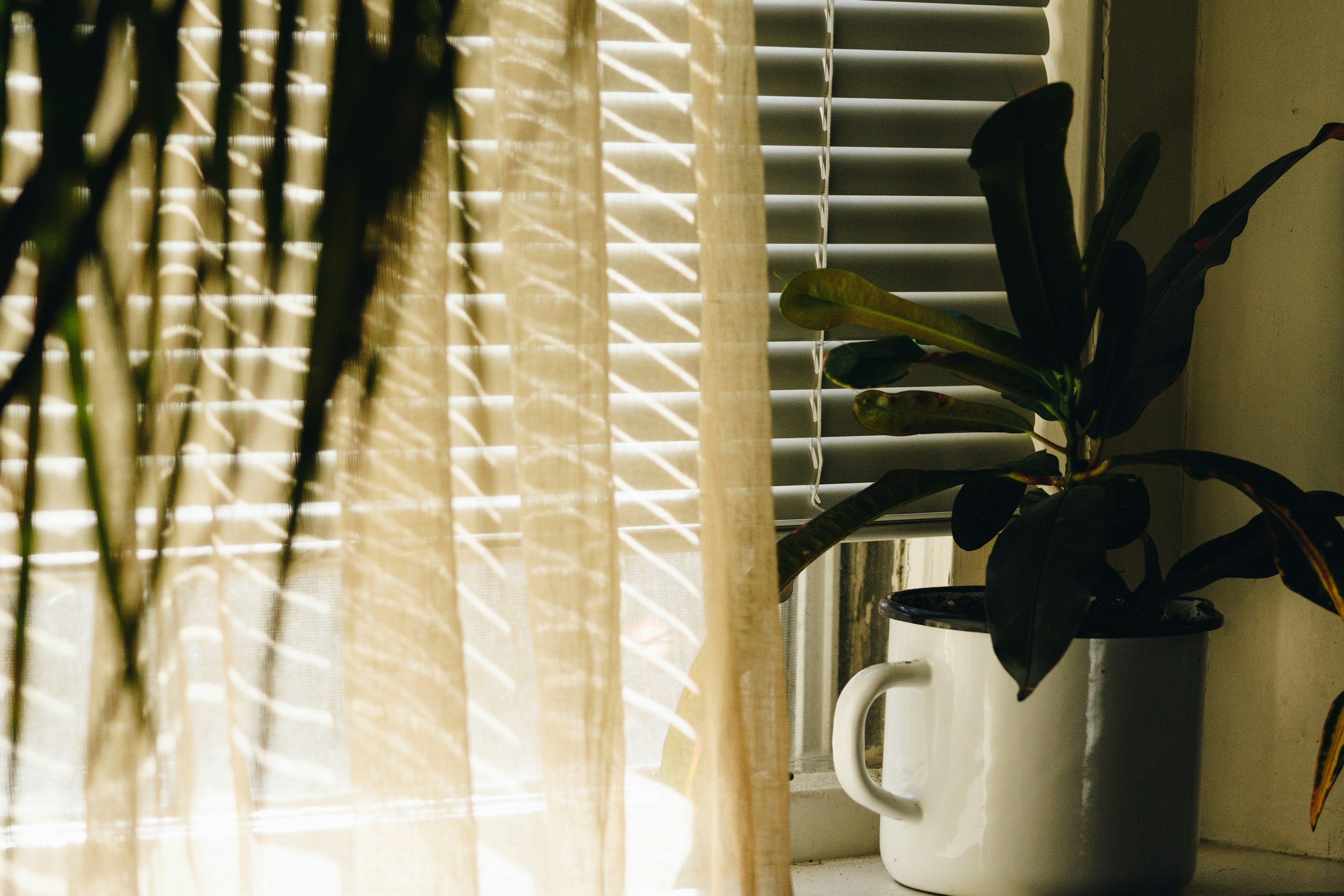 unsplash-image-kmb9QvXxCns.jpg