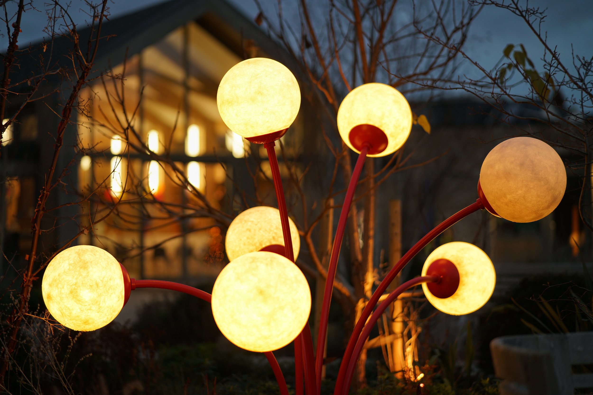 Supporting Special Spaces with Light