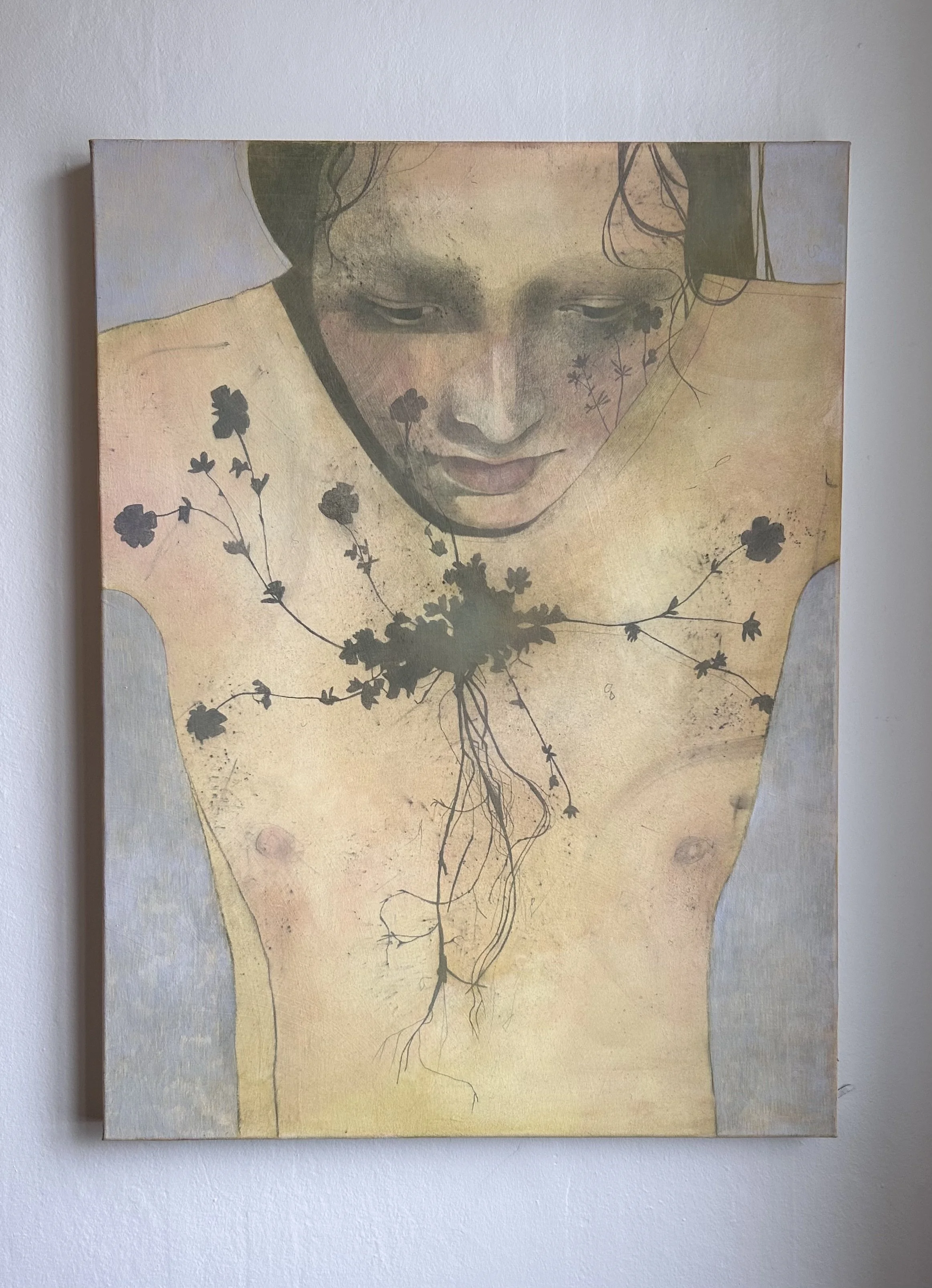 "Gullmura" / "Potentilla" 
2025 60x80cm