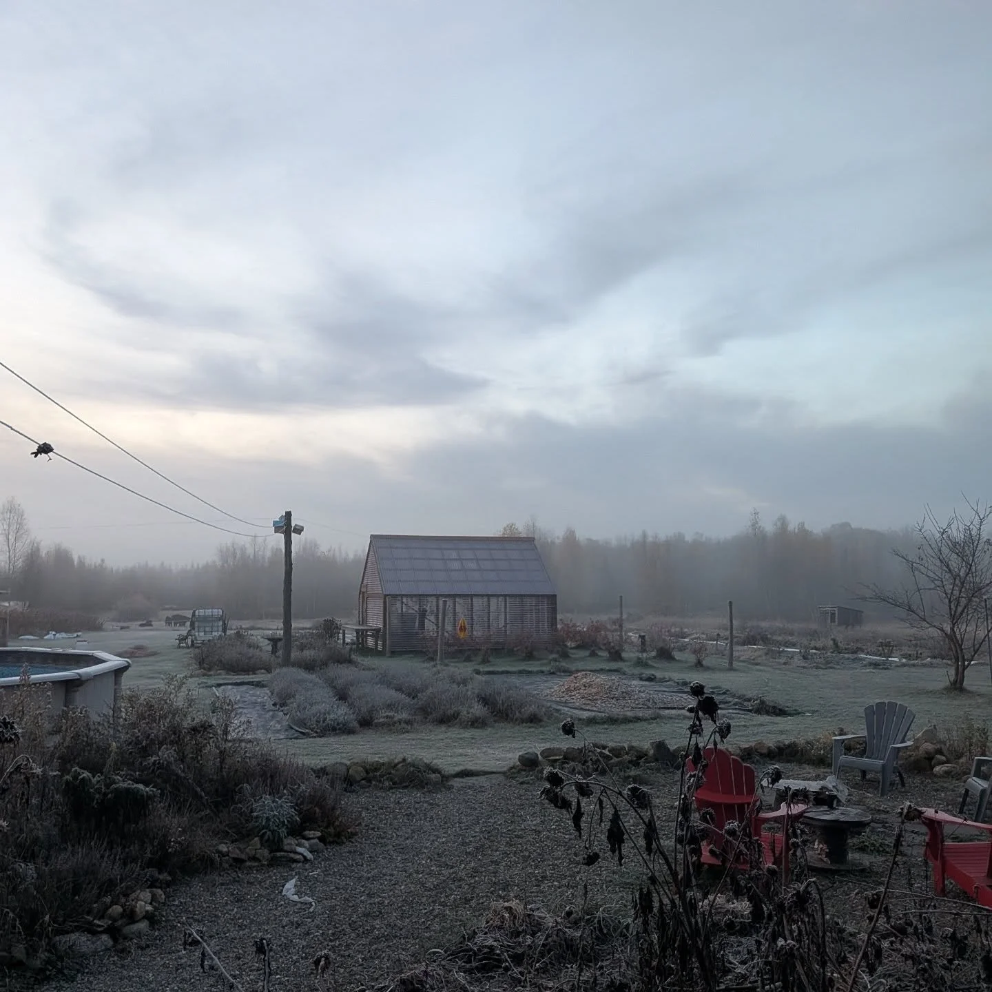 Matin de givre sur le homestead. 

.
.
.
#homesteadlife #paysagemagnifique 
#campagne #countrylife #countryliving❤️ #homesteadersofinstagram