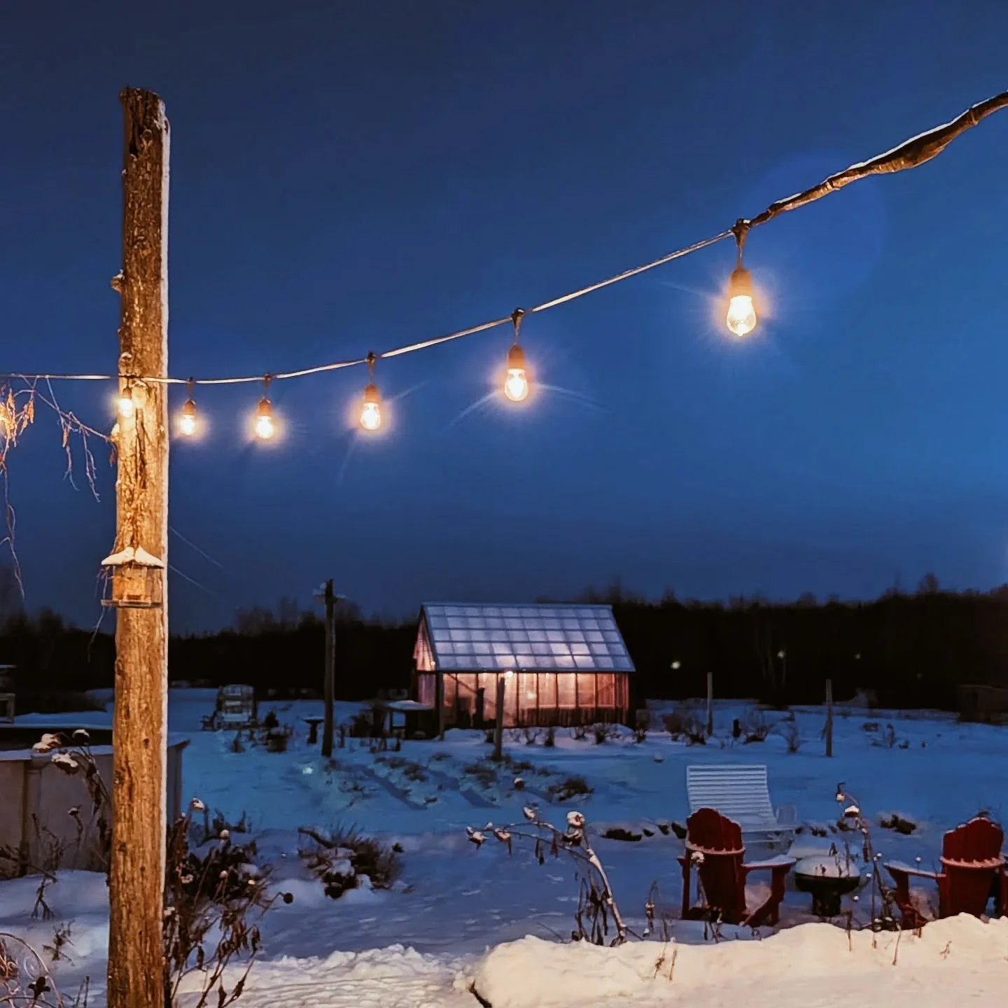2 d&eacute;cembre 2025

La p'tite Chapelle...belle &agrave; chaque saison 💞
.
.
#calendrieravent #adventcalendar #greenhousedesign #christmasgreenhouse #thistheseason