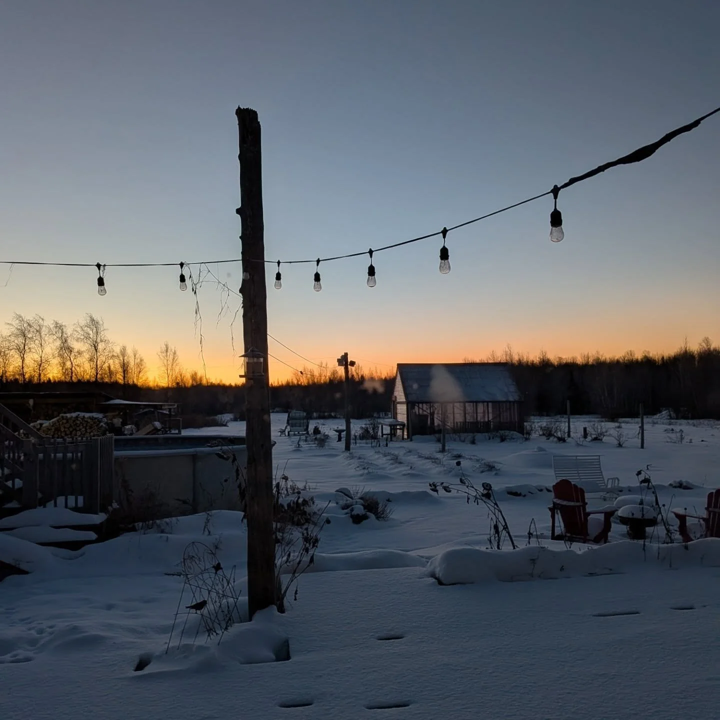 7 et 6 d&eacute;cembre 2025

Je ne me tannerai jamais de tous les magnifiques levers de soleil. Peu importe la saison, c'&eacute;tait toujours spectaculaire. Il est surtout doux ce matin... j'ai l'impression qu'il n'a pas fait soleil depuis des jours