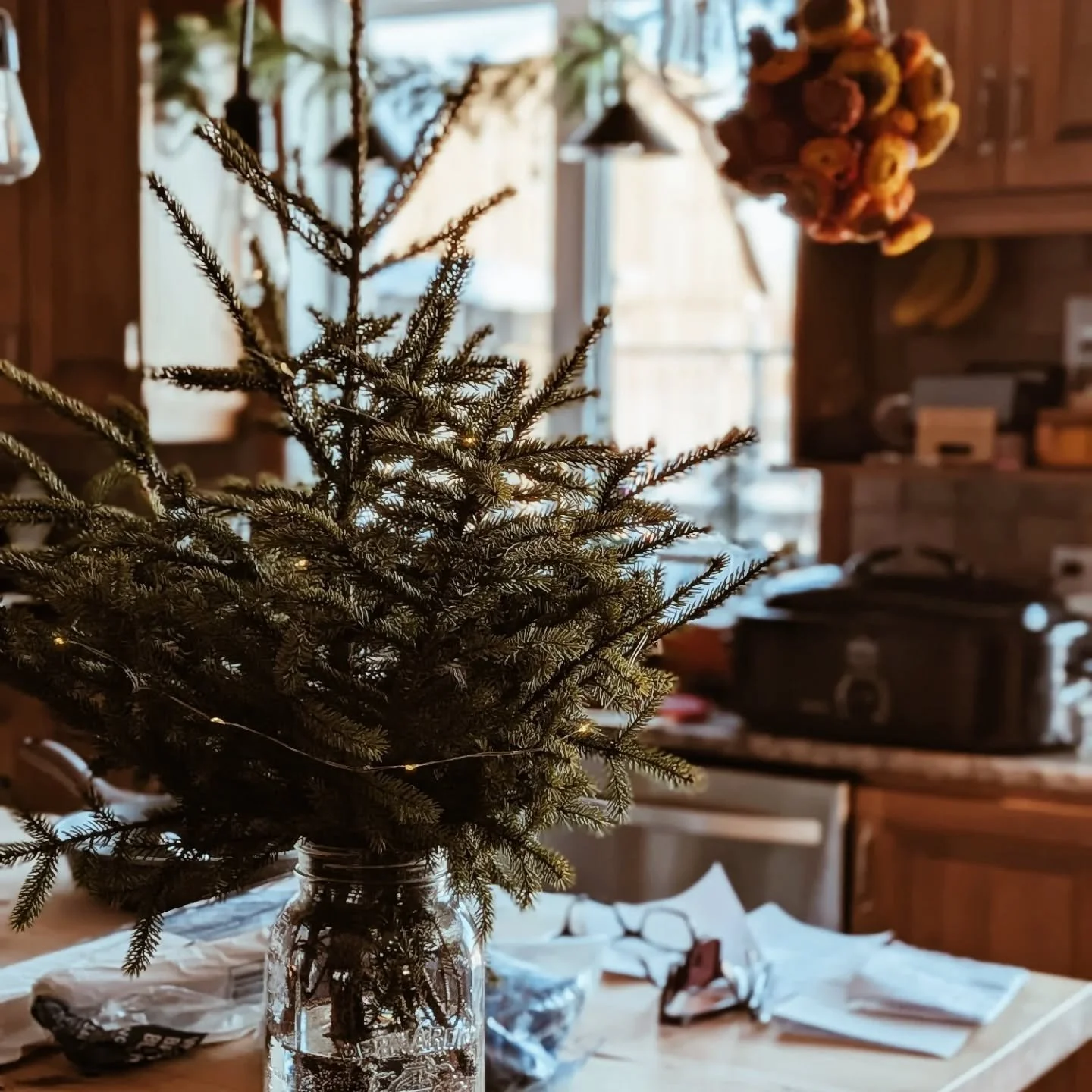 13 et 14 d&eacute;cembre 

Qu'il fait bon avoir le sentiment de reprendre vie. Non mais quel virus de m@#arde nous avons eu.

.
.
.
#christmasonthehomestead #xmasvintage #christmasseason #homesteadinglife #rootcellar