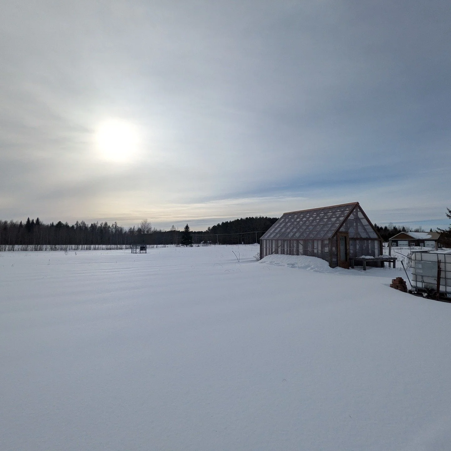 Je suis une minuscule petite fourmis dans ce vaste monde virtuel mais, certaines personnes commencent &agrave; venir m'&eacute;crire pour savoir o&ugrave; j'&eacute;tais pass&eacute;e ces derniers temps. 

Quand on mijote pendant tr&egrave;s longtemp