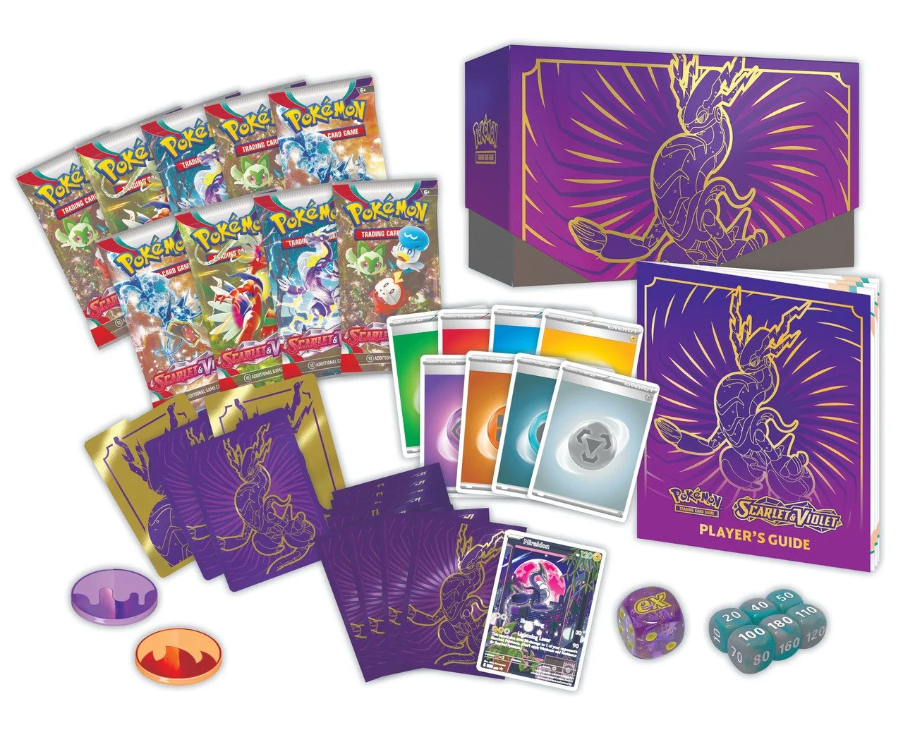 purple etb 2.jpg