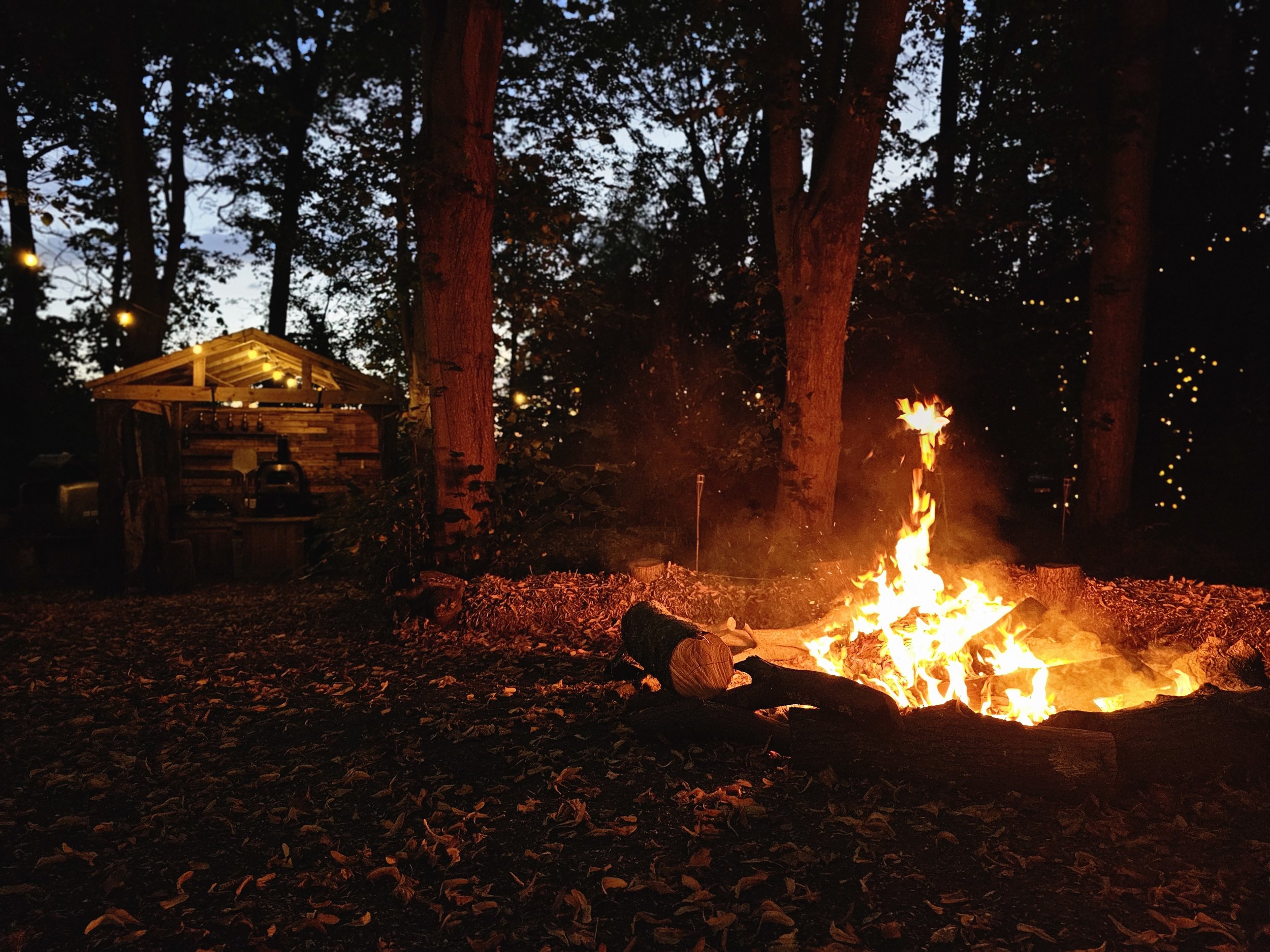 Fire Pit and Cook Shak