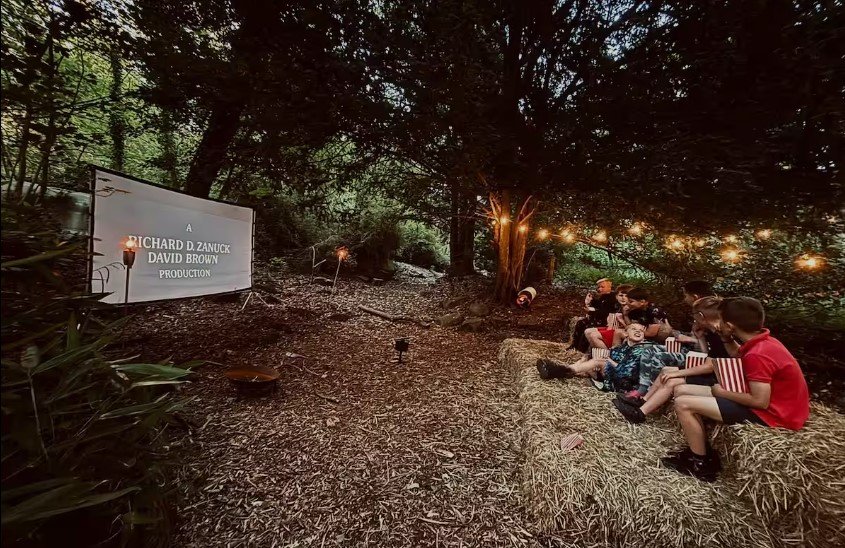 Zen & Den Cinema Area