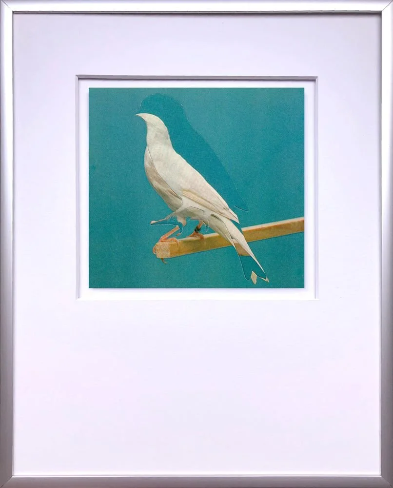 canary collage white bird blue background