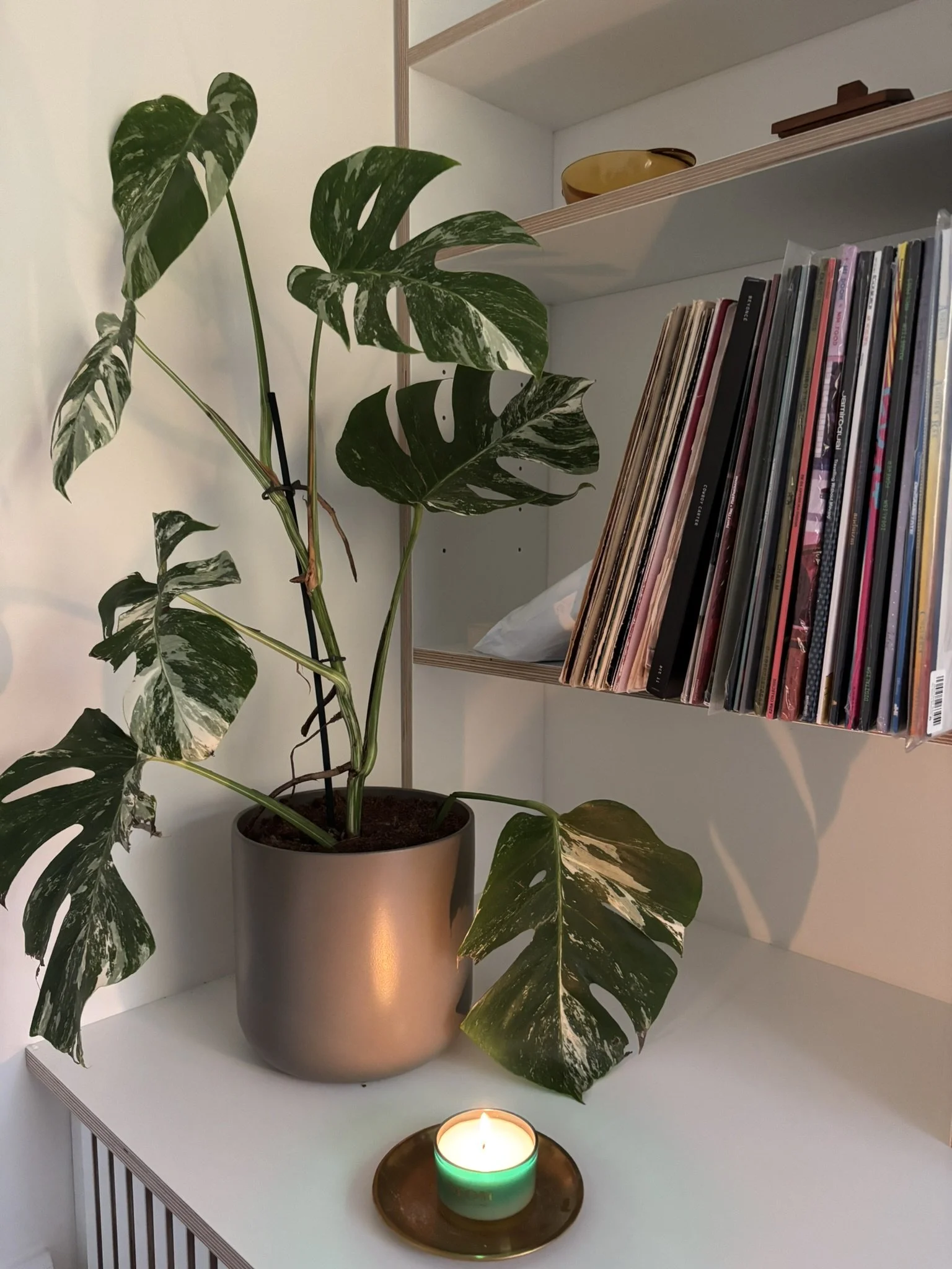 Vicky Pasion Self Care Neom