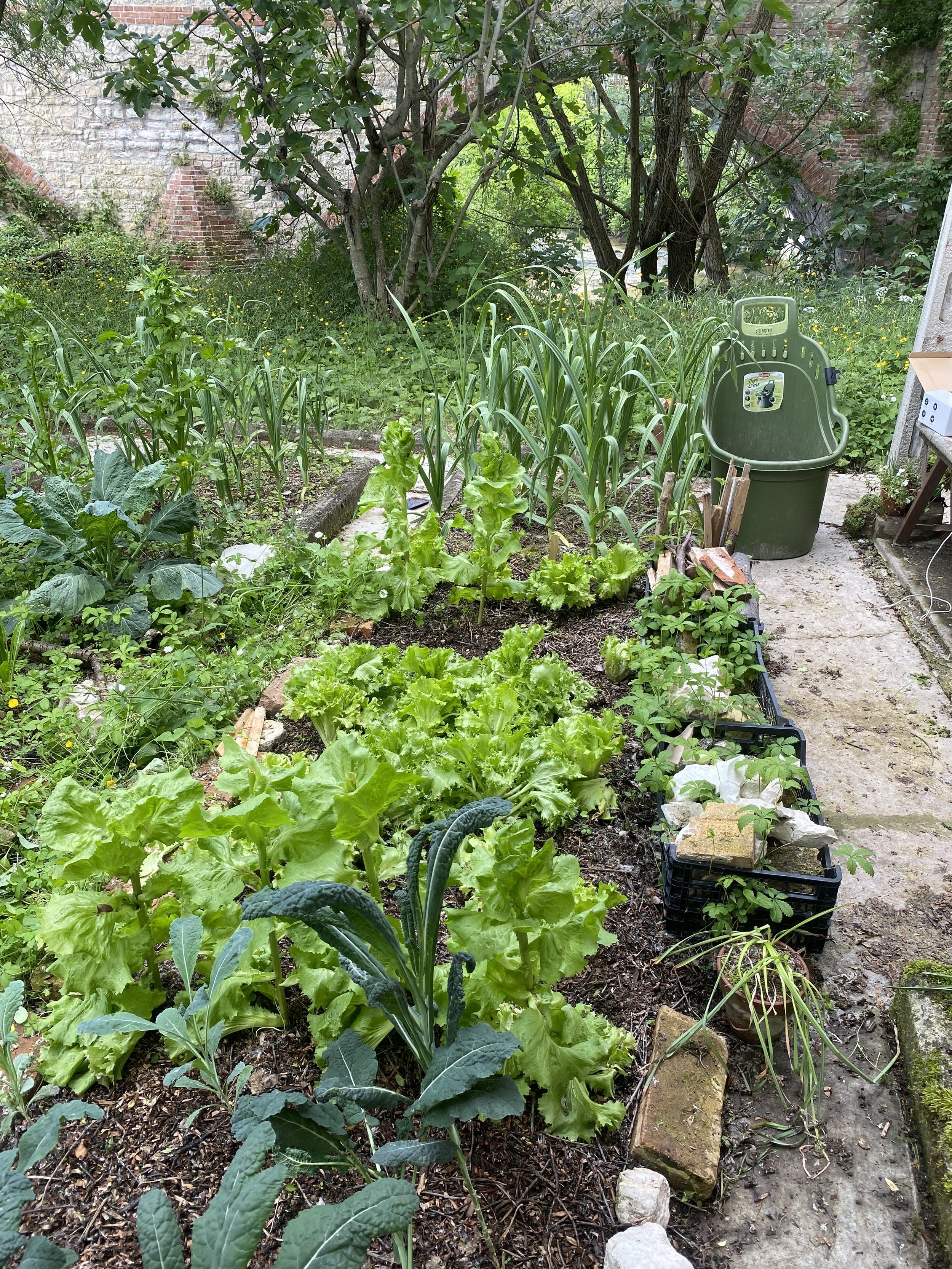 Why Growing Food Remotely is the Ultimate Oxymoron