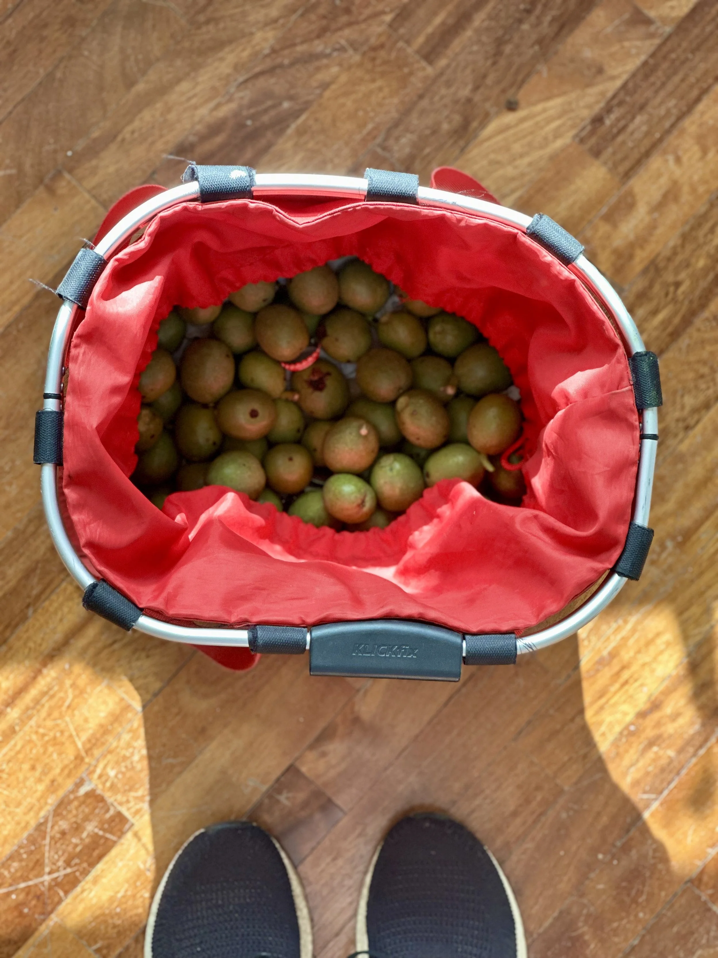 Nocino 4.jpg