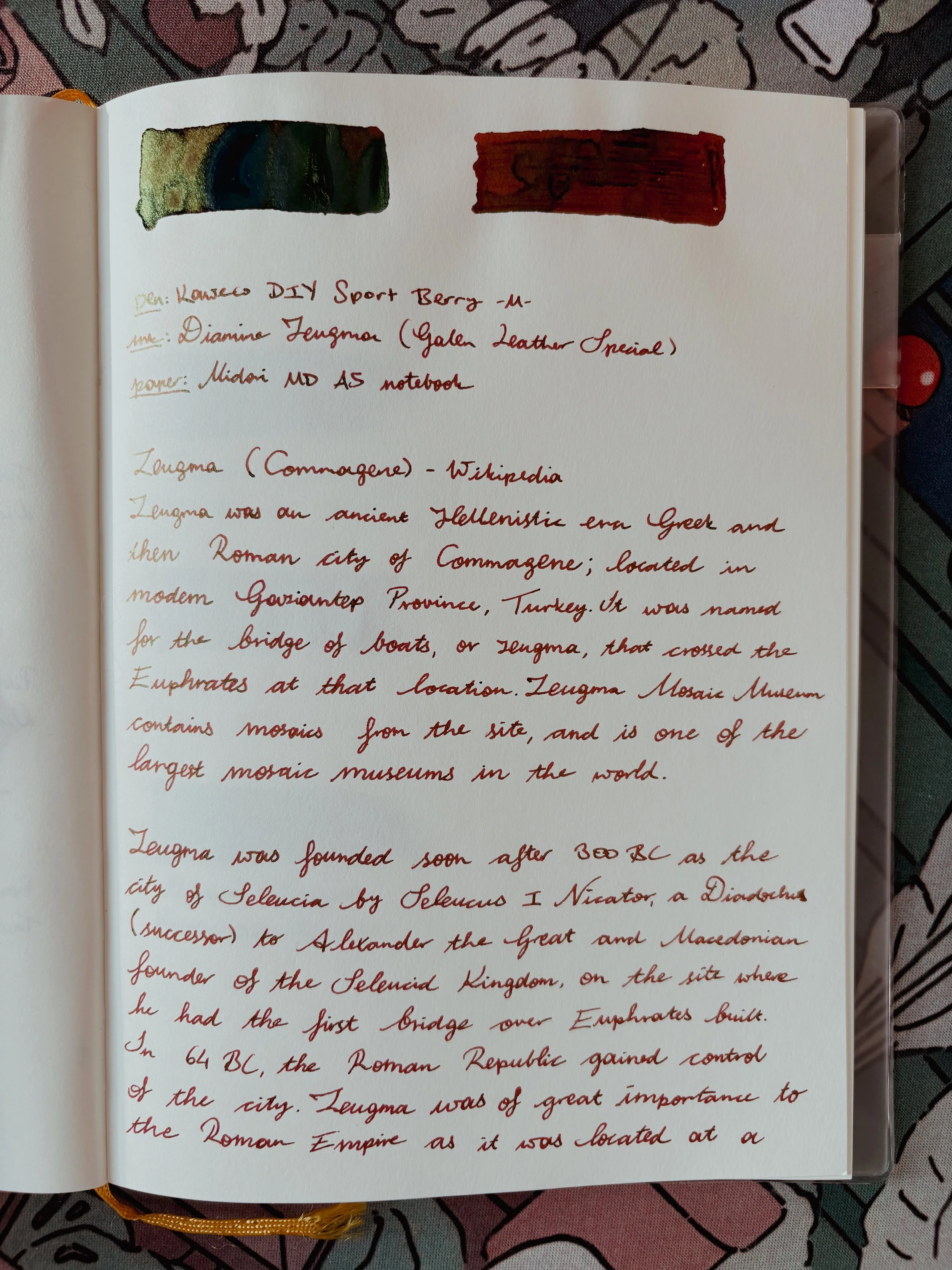 #4 a-live: diamine zeugma fountain pen ink