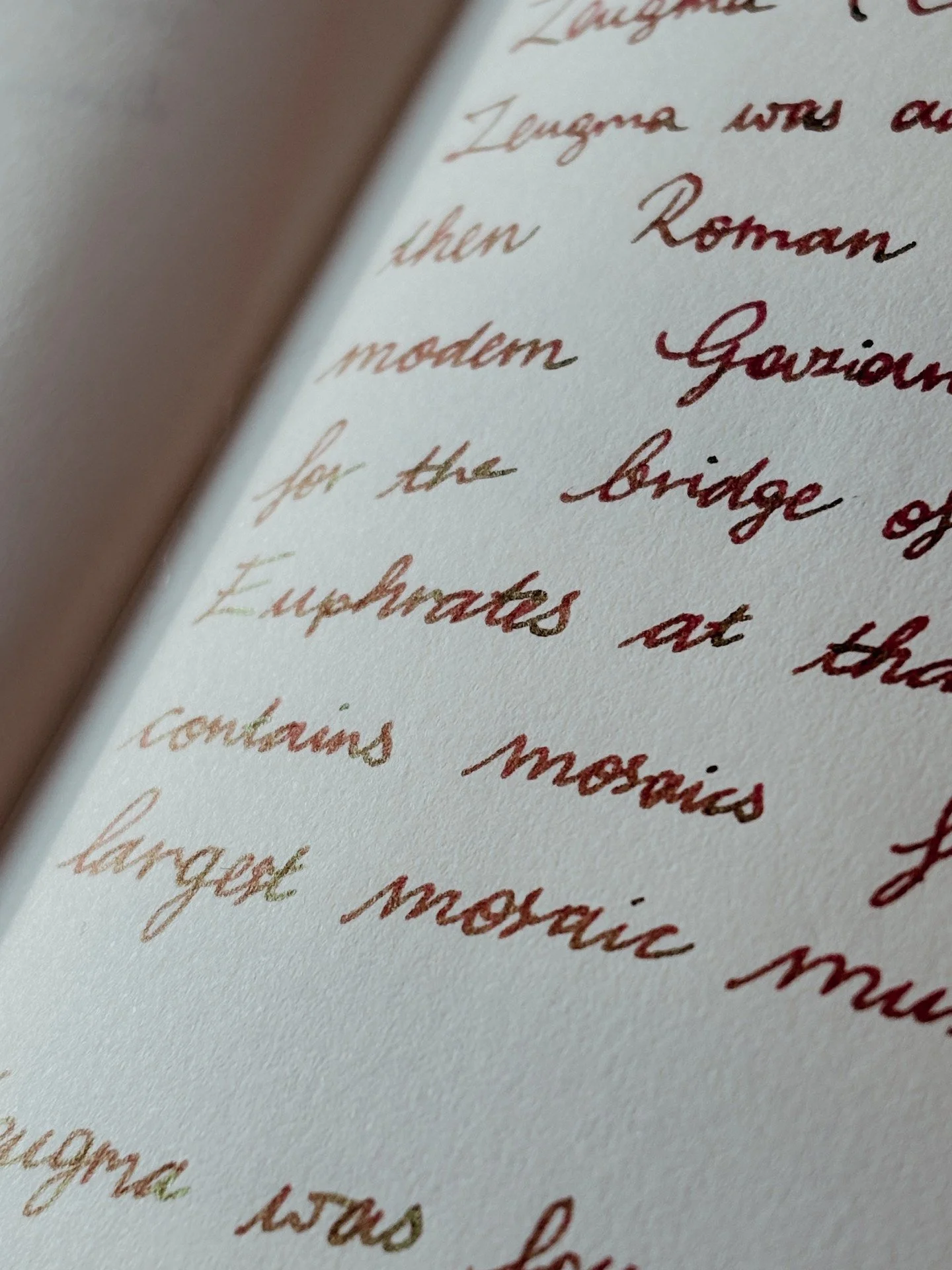 Can you guess the ink? 🦑

It's the new Diamine Zeugma (Turkey Special Edition) I got while I was visiting @galen_leather's physical shop in Istanbul. @diamineink.turkiye bottles the ink in these beautiful bottles as well, they're well worth keeping 