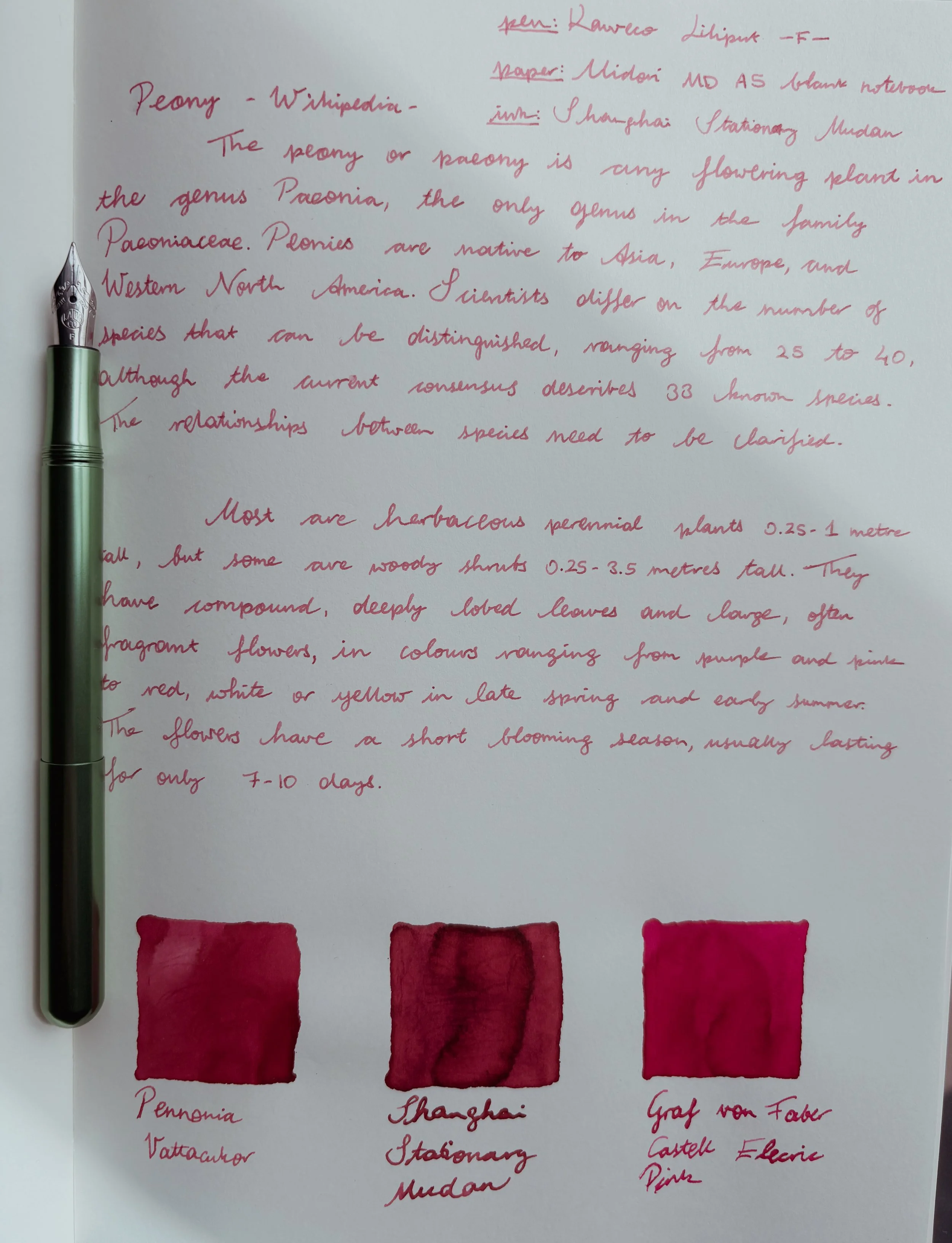 #12 nostalgia: shanghai stationary mudan fountain pen ink