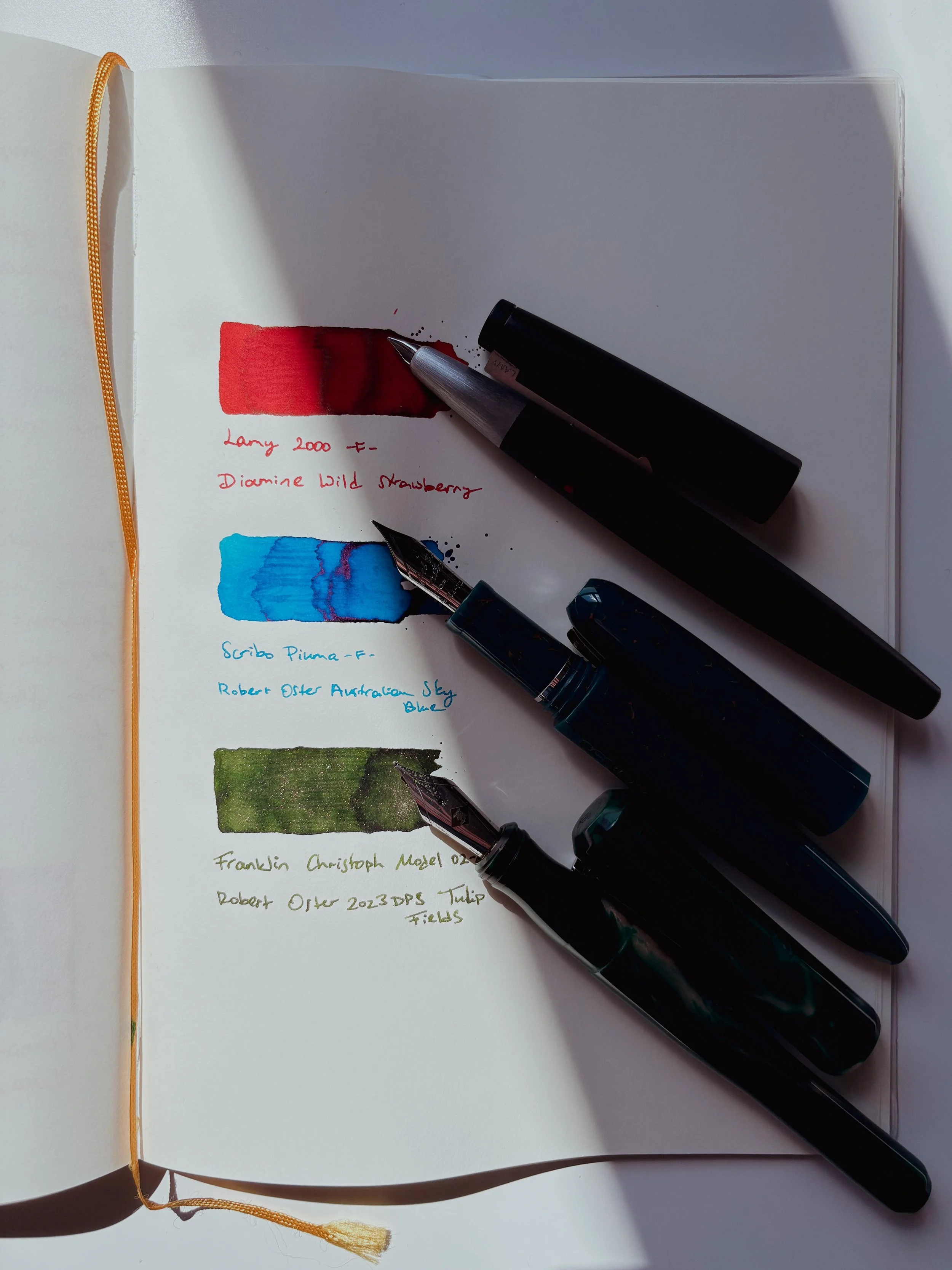 last week's inked pens! 🦑

It has been super interesting to finally track my fountain pen use somewhat consistently and observe the changes. Before this, I only had a vague idea of how far the seasonal theme in my ink use went, but it&rsquo;s becomi