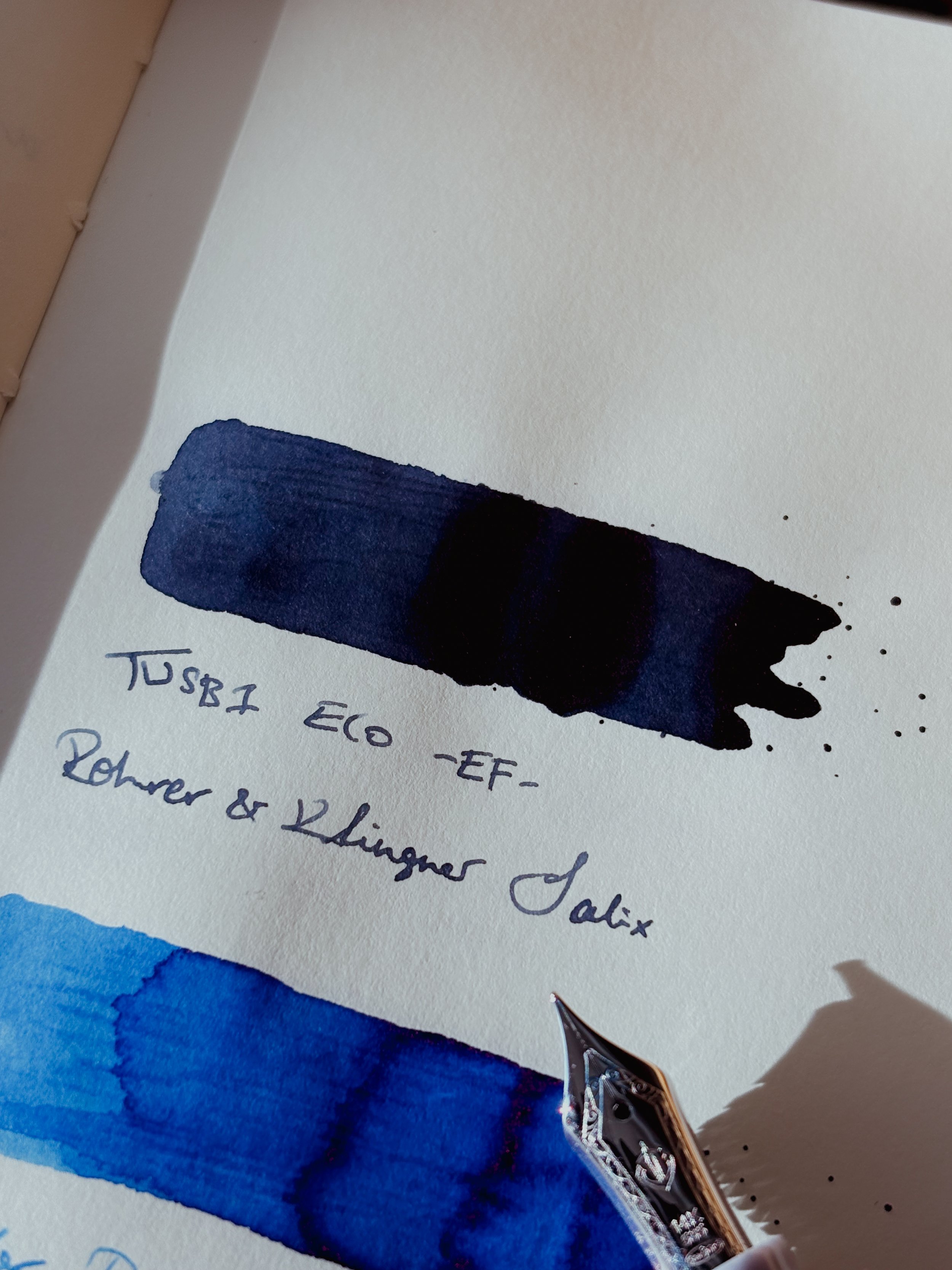 TWSBI ECO inked with Rohrer & Klingner Salix