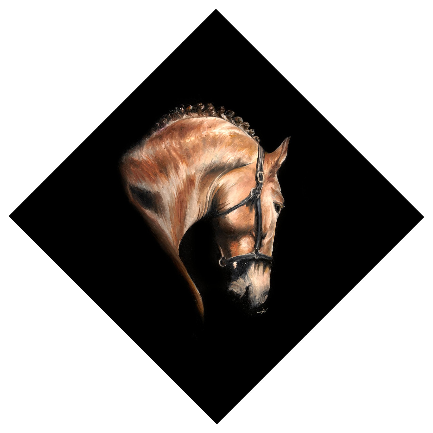 Shadow Horse 2.jpg
