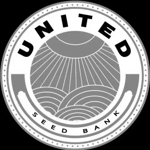 United (US)