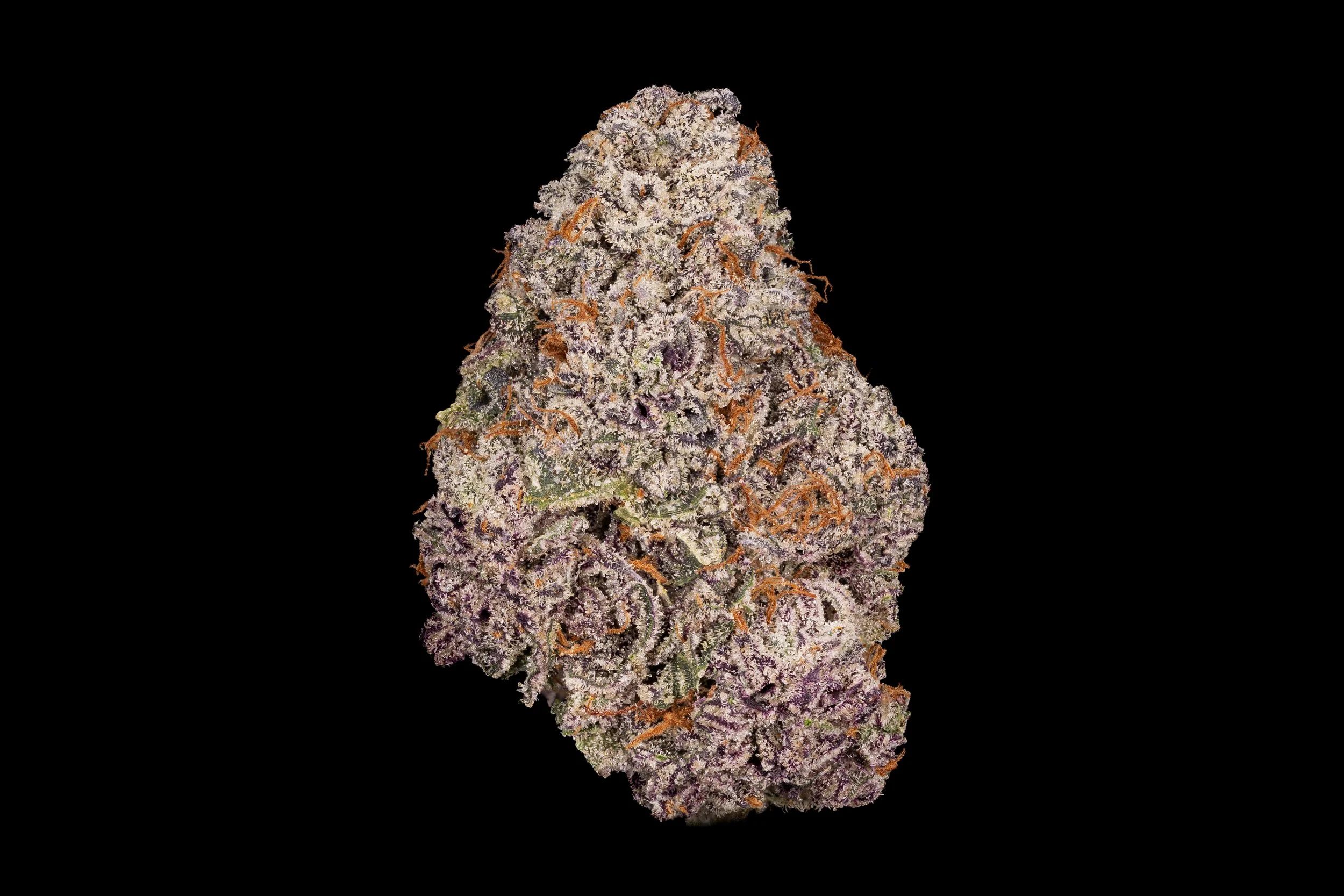 Close-up of a purple cannabis bud coated with trichomes against a black background.