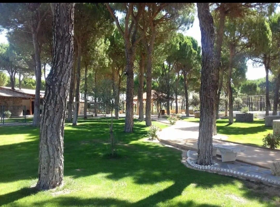 b984f211-fe62-4a89-a428-be4b3f308516 2.JPG