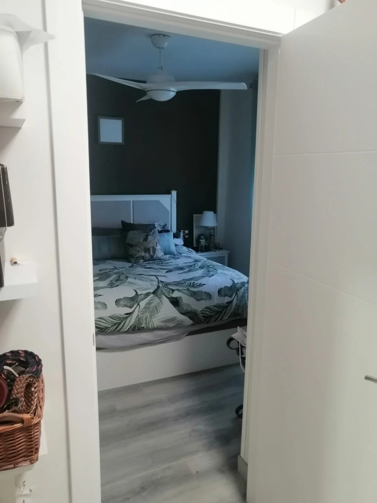 PHOTO-2026-01-15-12-54-07 6.jpg