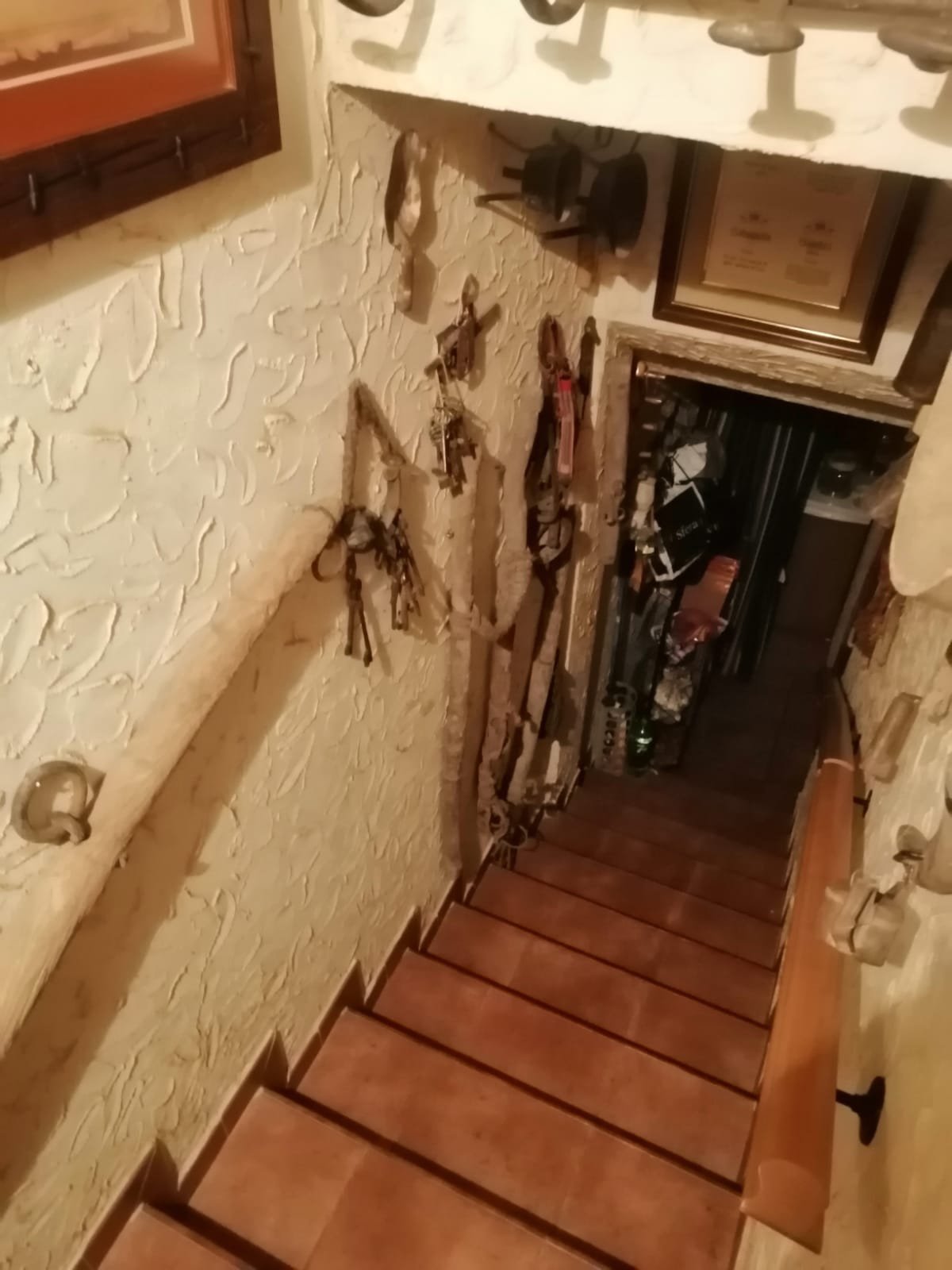 PHOTO-2026-01-15-12-54-07 9.jpg