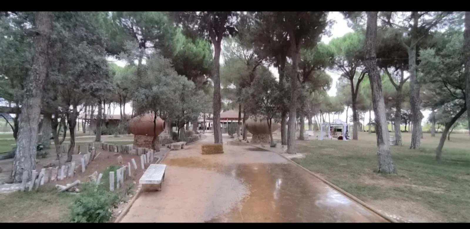 06d841ef-12b4-4d6b-a638-7efbc82aff9e 2.JPG