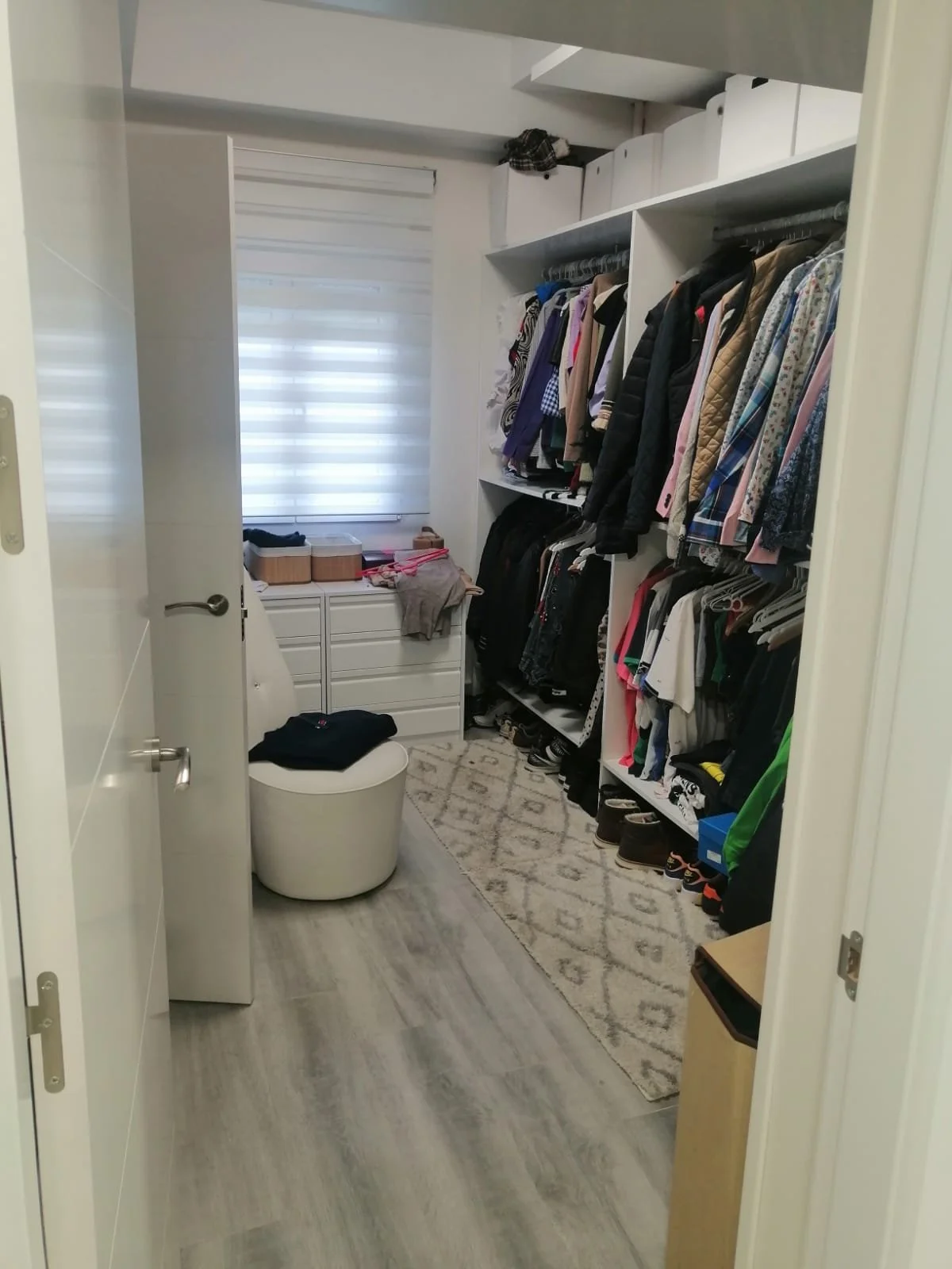 PHOTO-2026-01-15-12-54-07 4.jpg