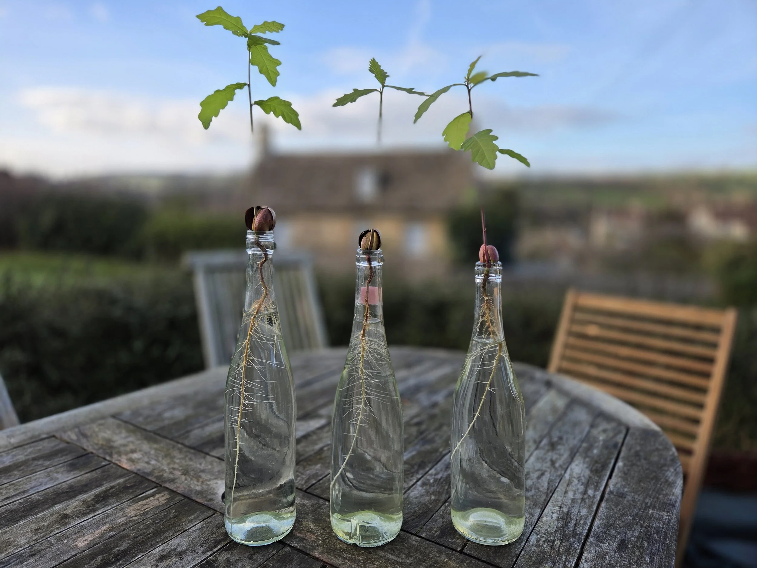 Why It’s Okay to Find January Hard — and How to Be Kind to Yourself