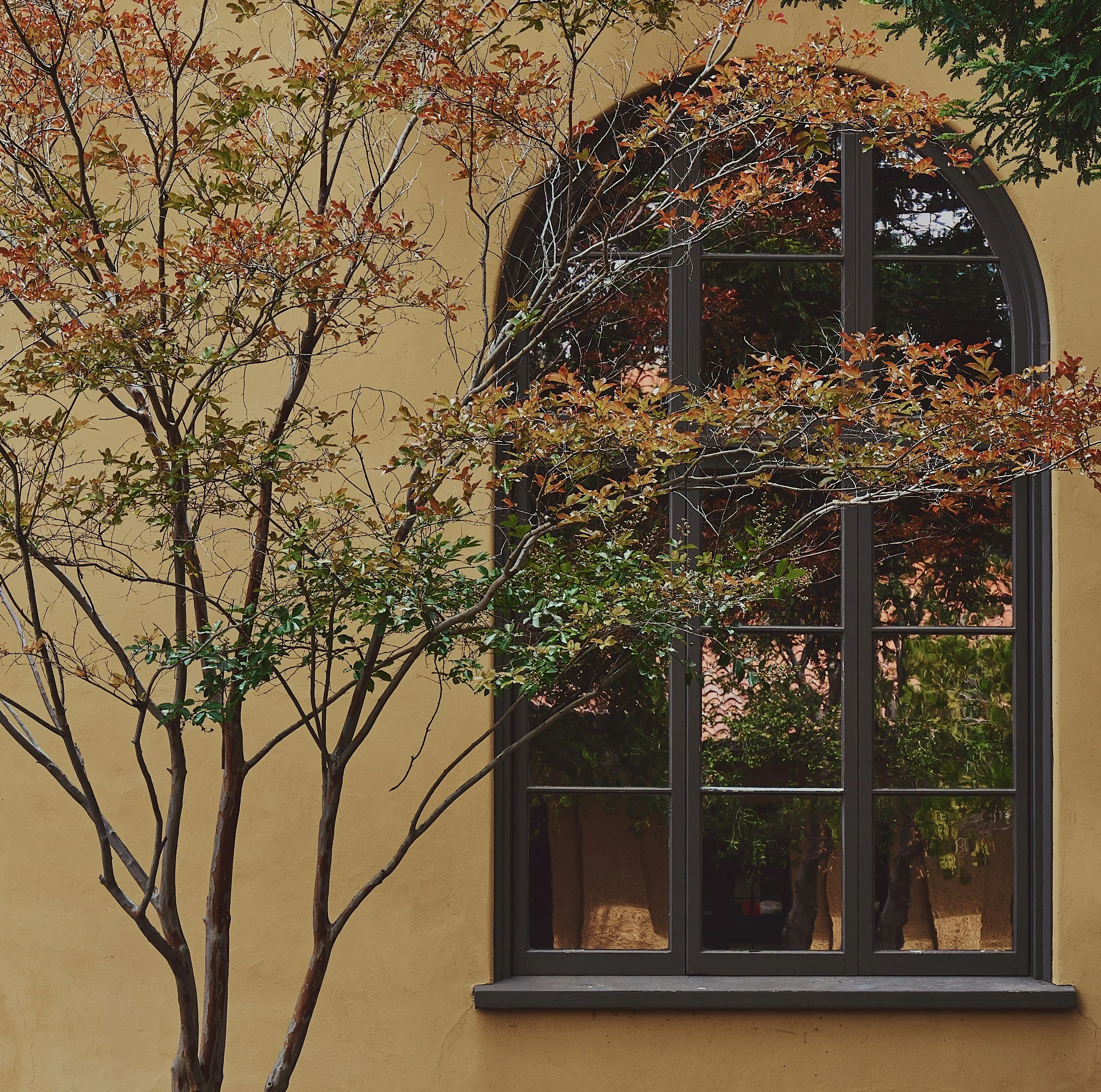 Why you need Reflective Practice