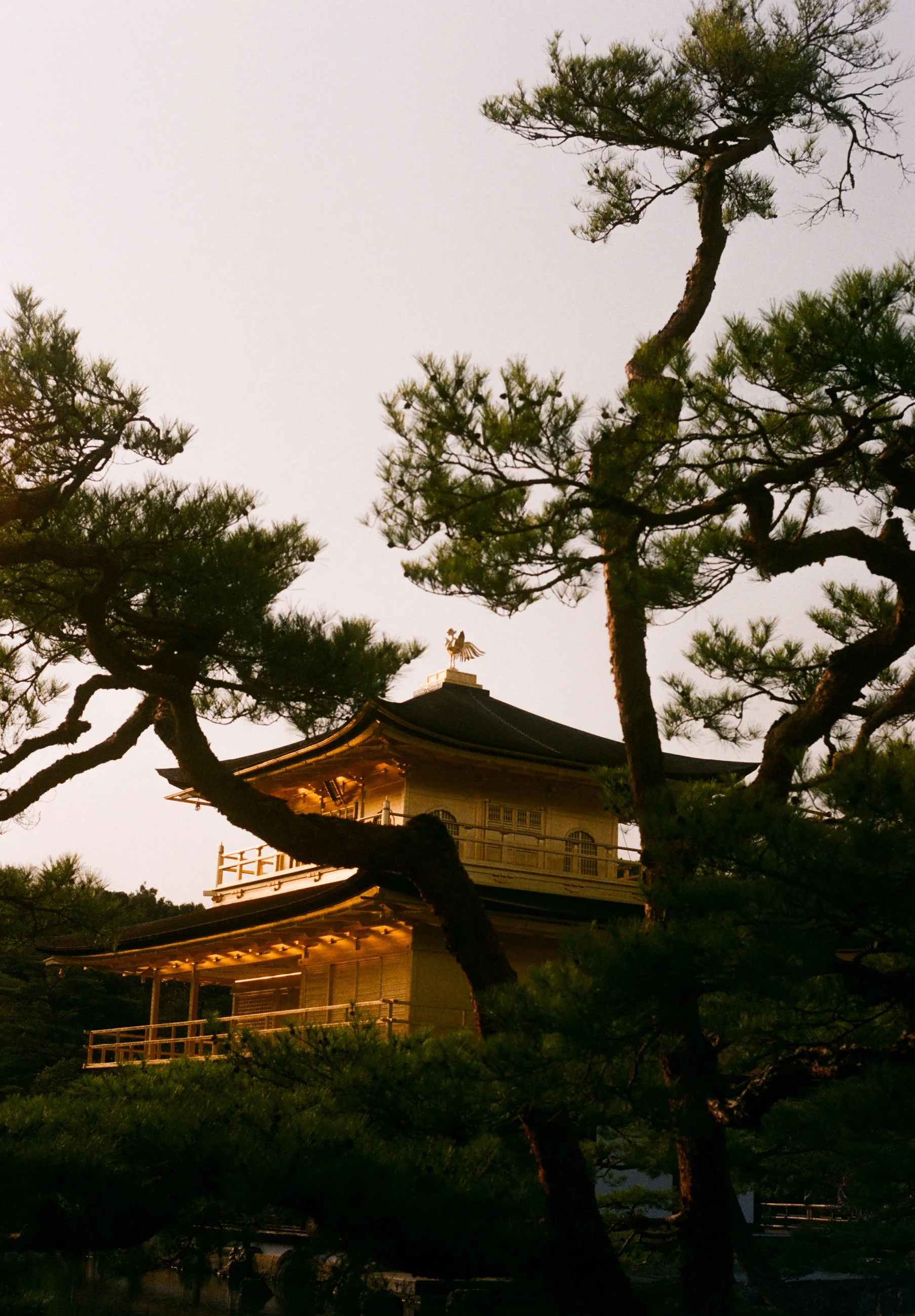 post japon #14.jpg