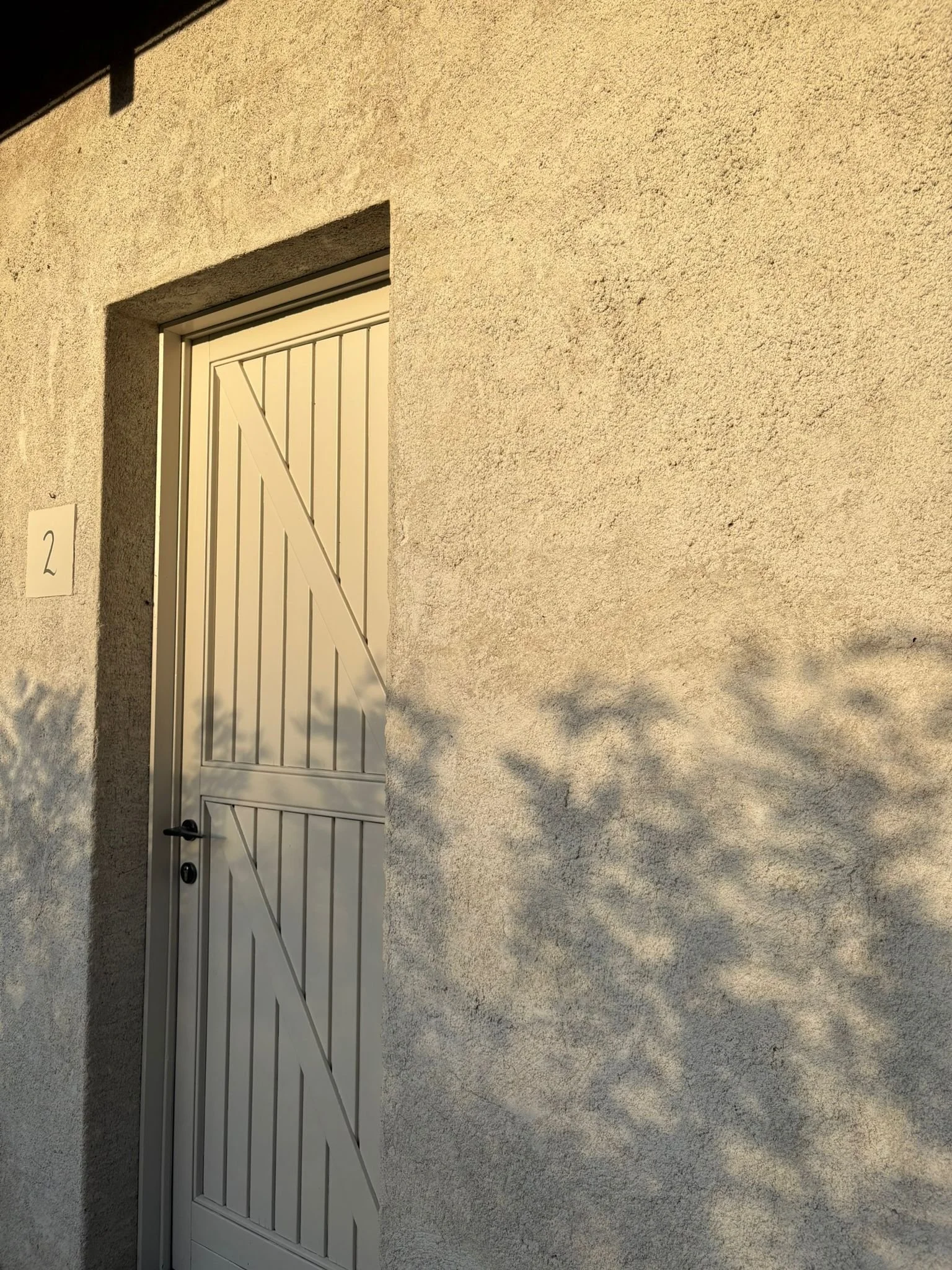 d2f39357-0fae-4dc0-b67b-a95a6e018d57.jpeg