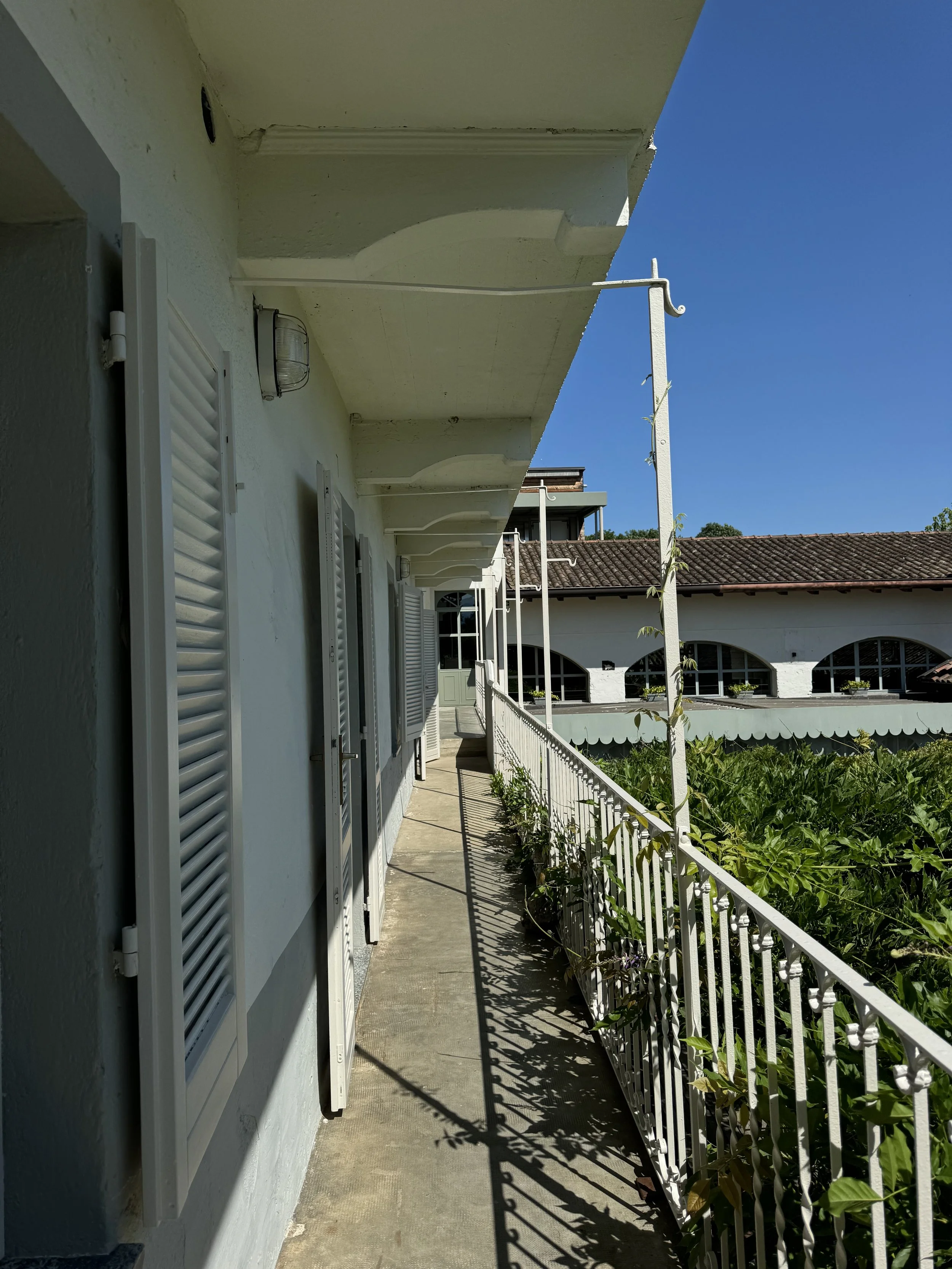 IMG_9843.jpeg