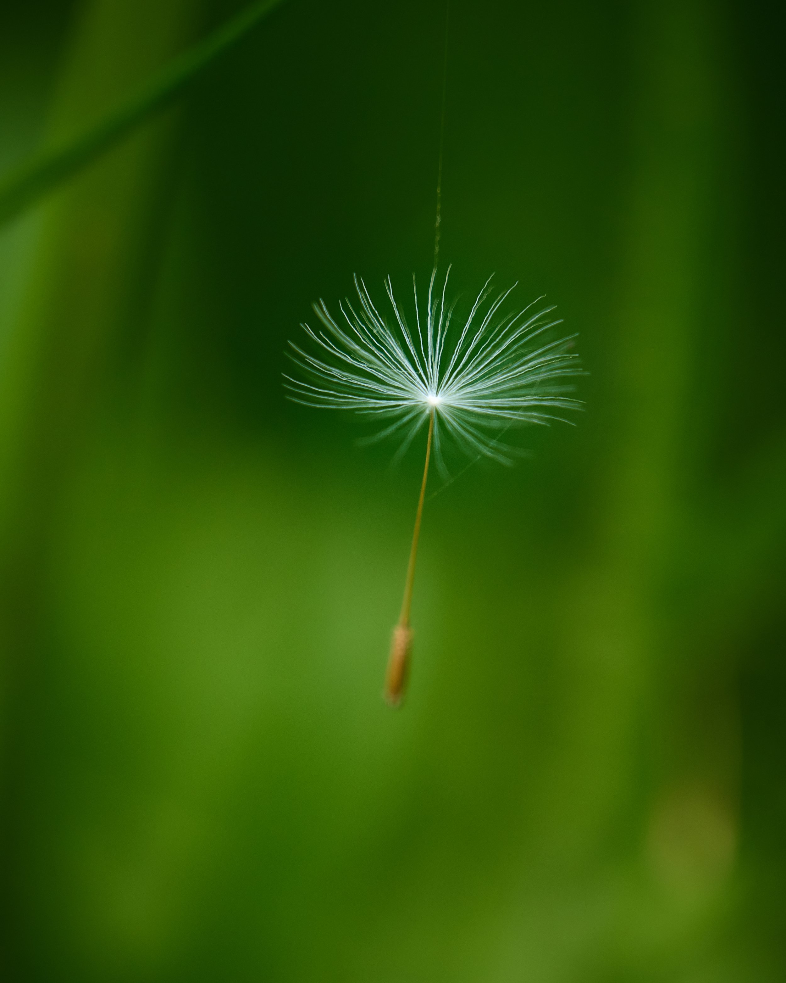 _DSC3134.jpg