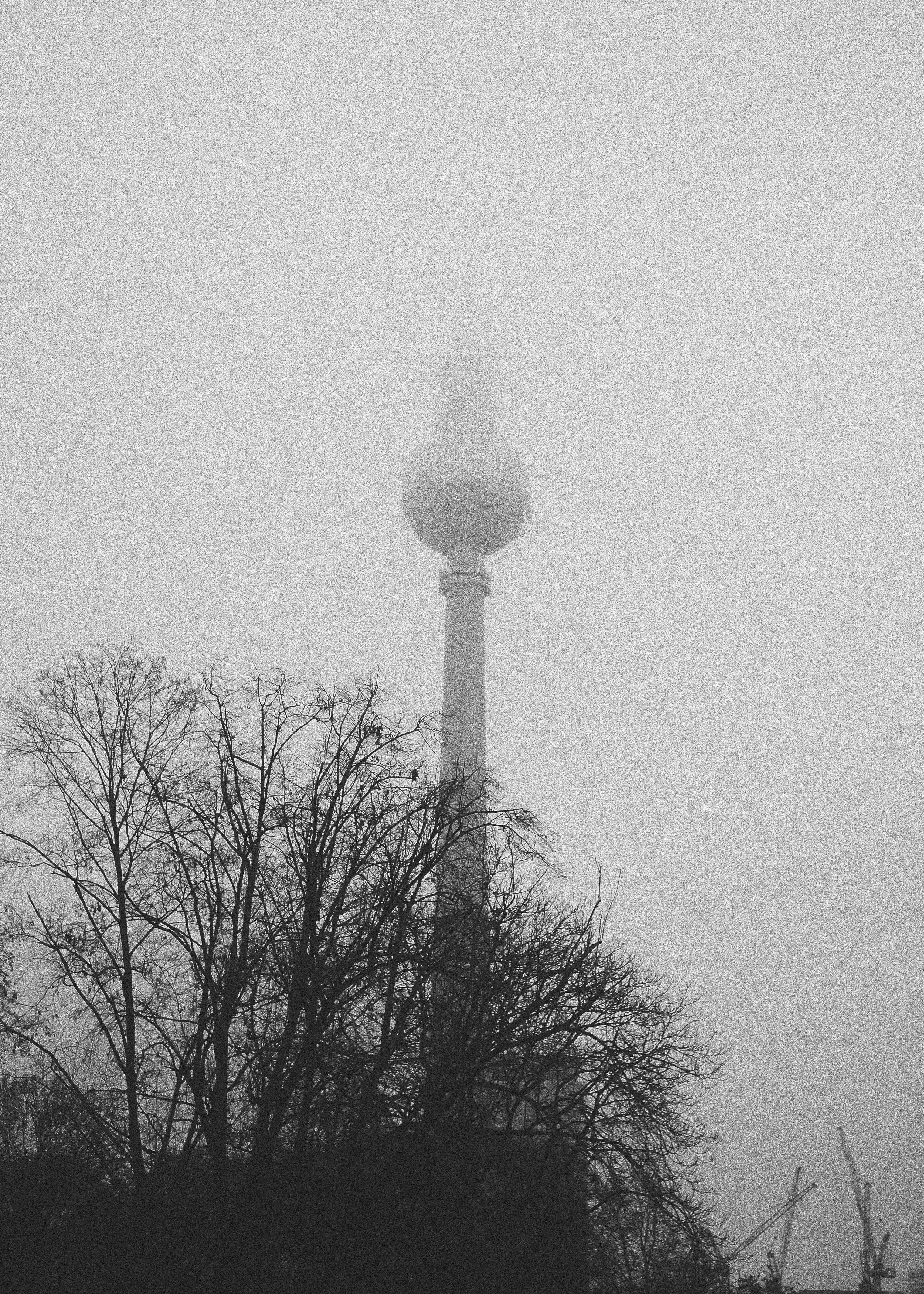 DSCF2005-6.jpg