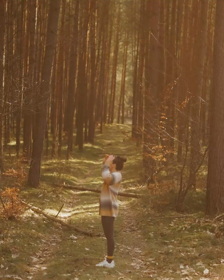 Januar: Ruhig ins Jahr gestartet, viele Spazierg&auml;nge, viel Kuschelzeit.✨

Februar: Yoga und Achtsamkeit, viel am Laptop &ndash; meine Website ist entstanden. Die Sonne genossen ☀️

M&auml;rz:
Unterwegs im Bus, campen und Prag &ndash; einfach so 