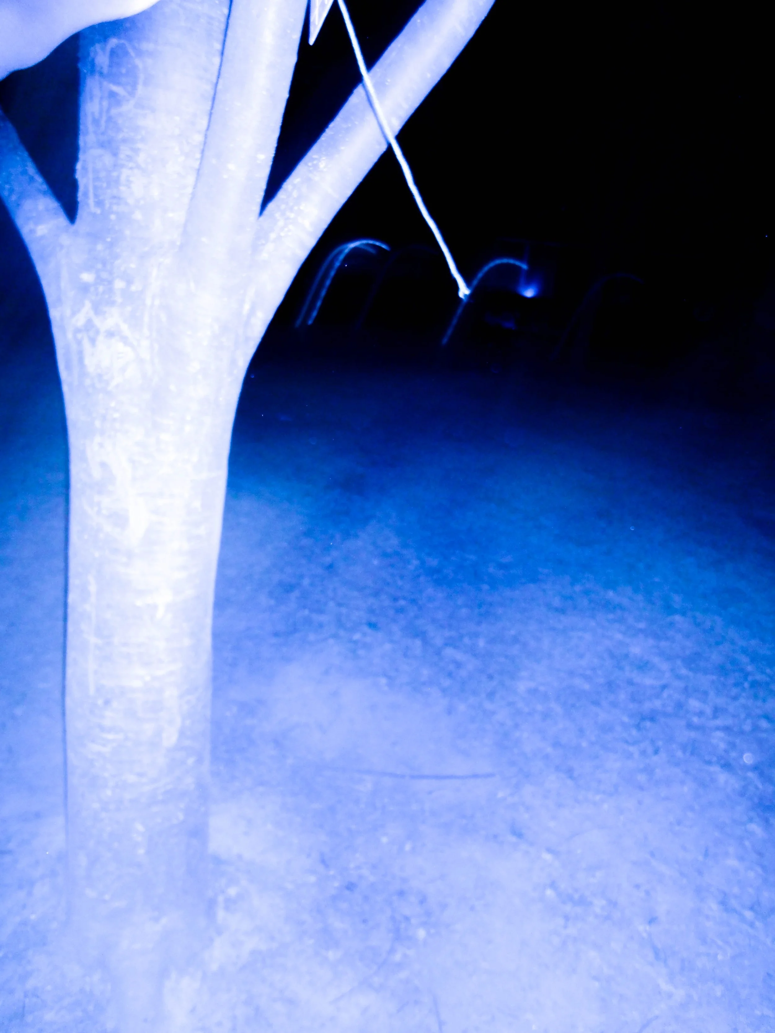 Image-10.jpg