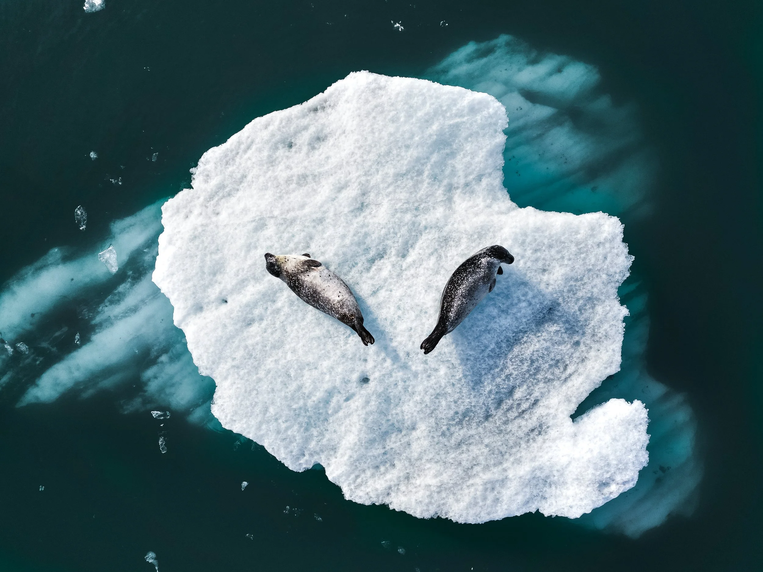 ISLANDE ❘ La solitude des glaces (1)