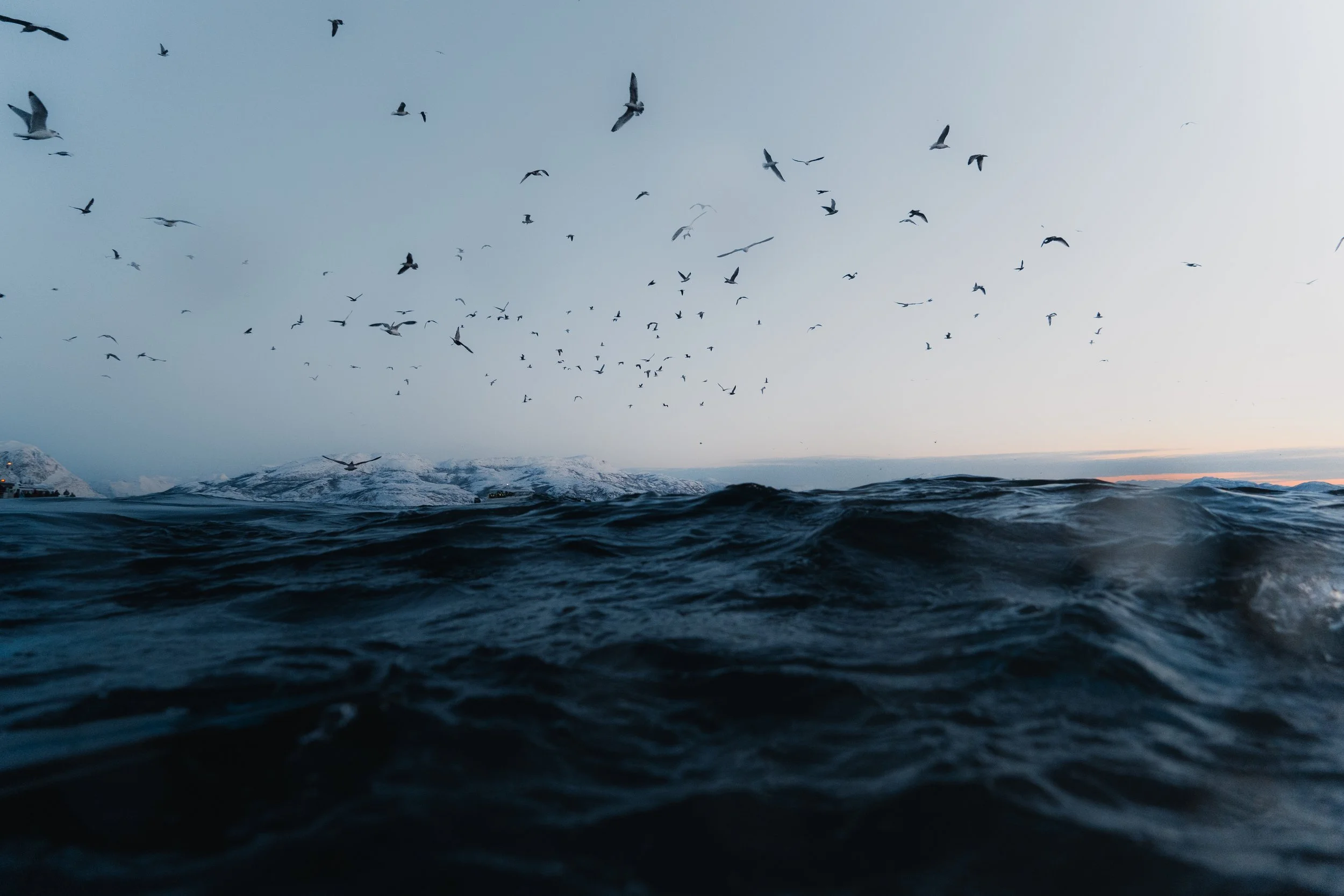 ARCTIC ❘ Aux confins du Grand Nord (1)