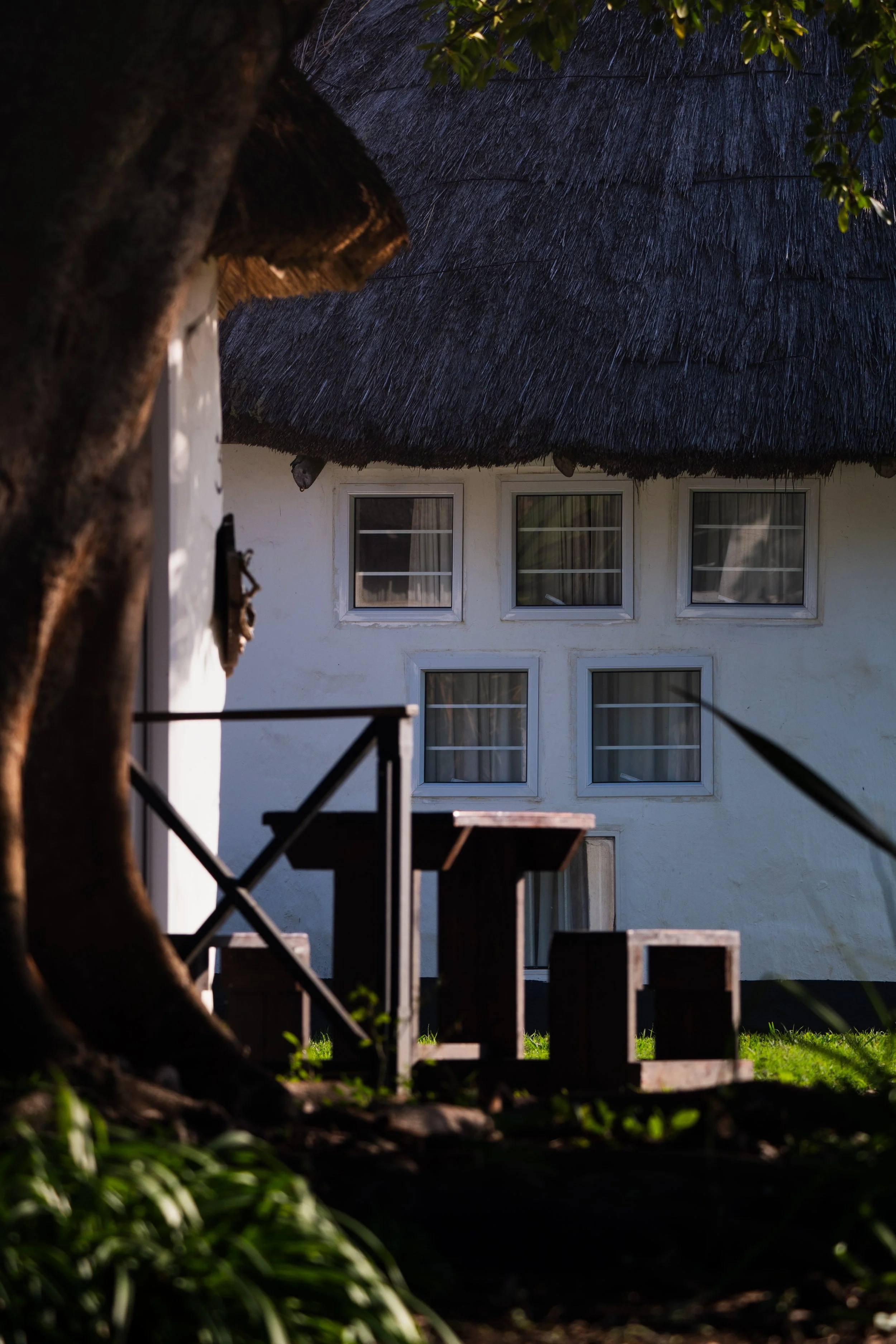 NINE-CLERGEOT_SOUTH AFRICA_27-JUIN-2026_08358.jpg